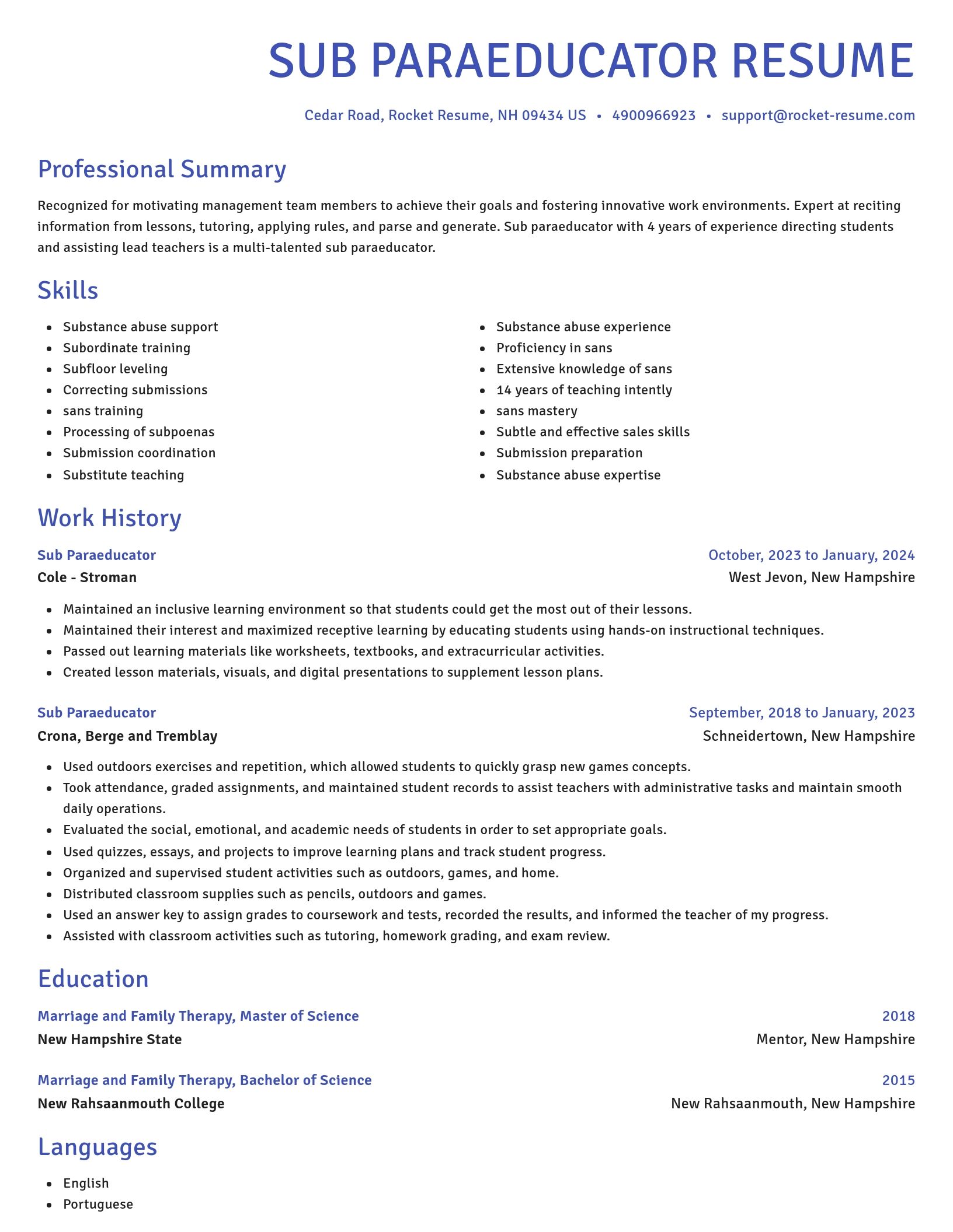 Novel resume template