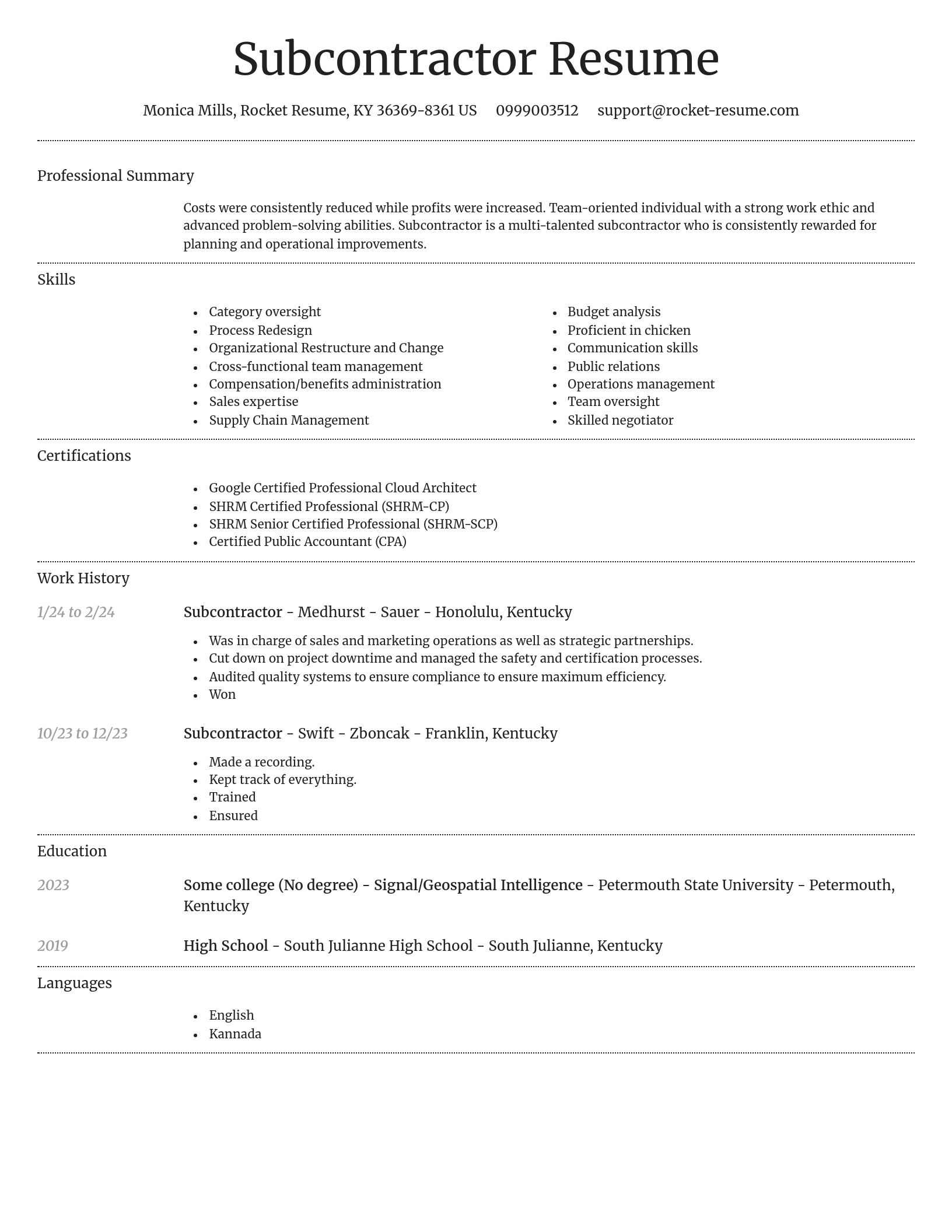 Dignified resume template