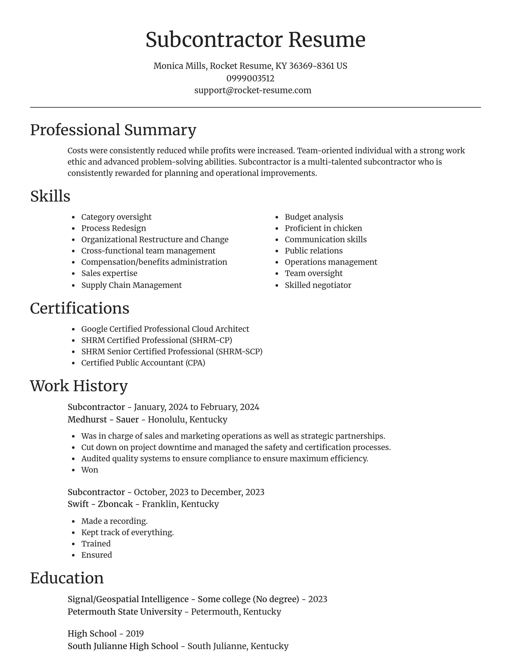 Focal Point resume template