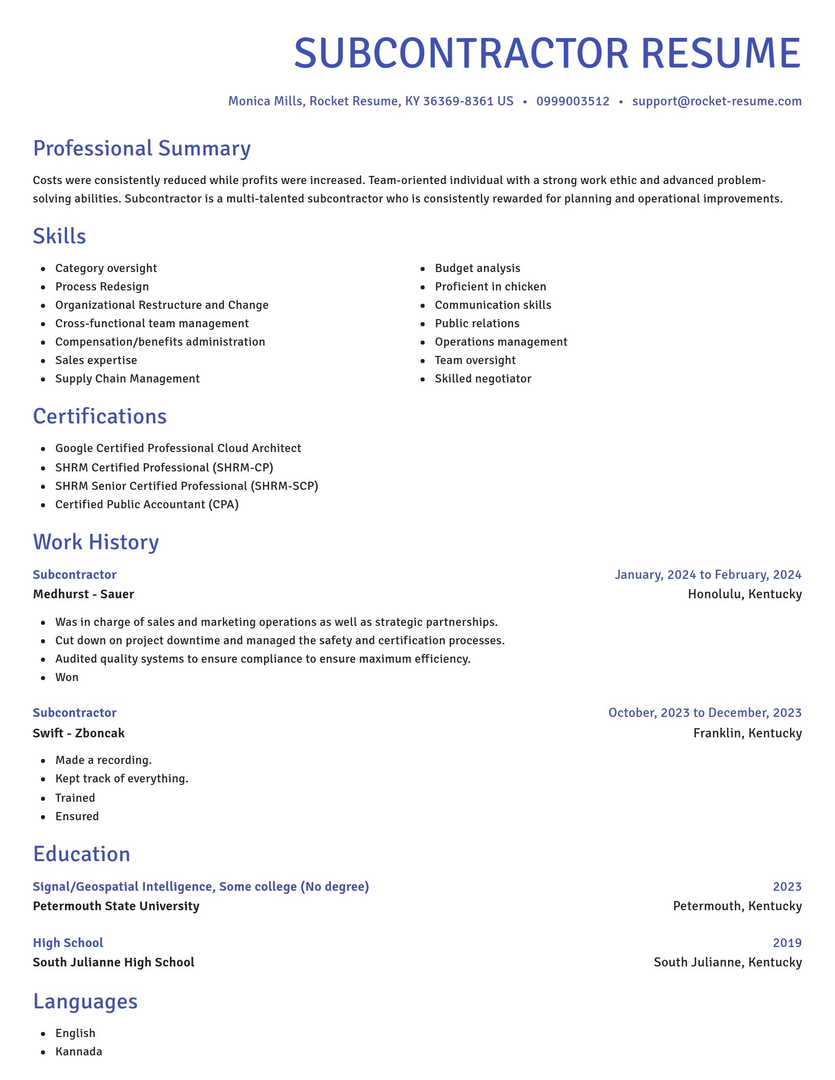 Novel resume template