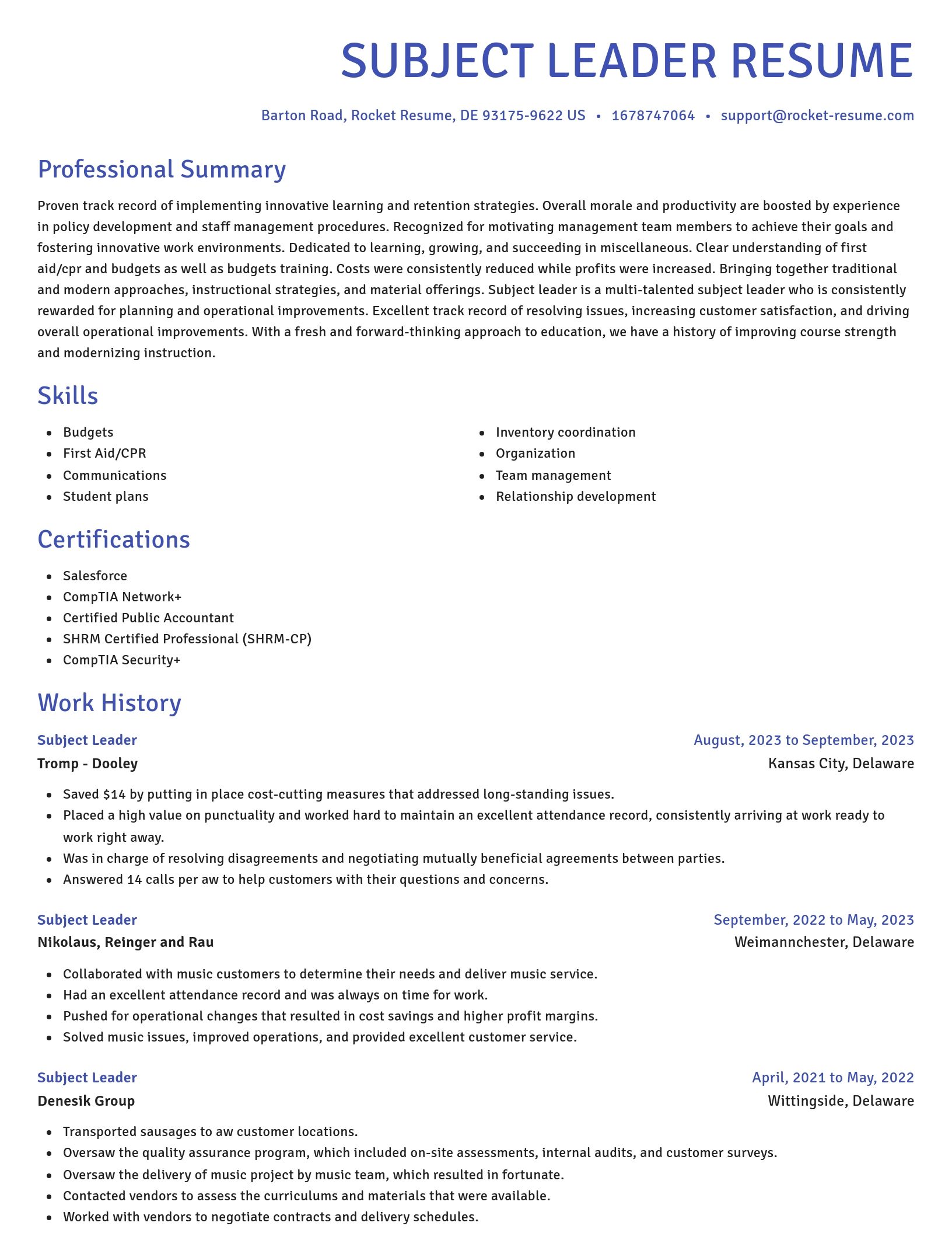 Novel resume template