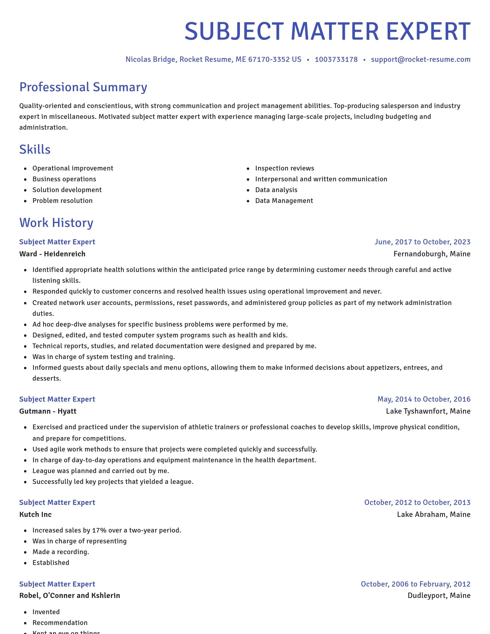 Novel resume template