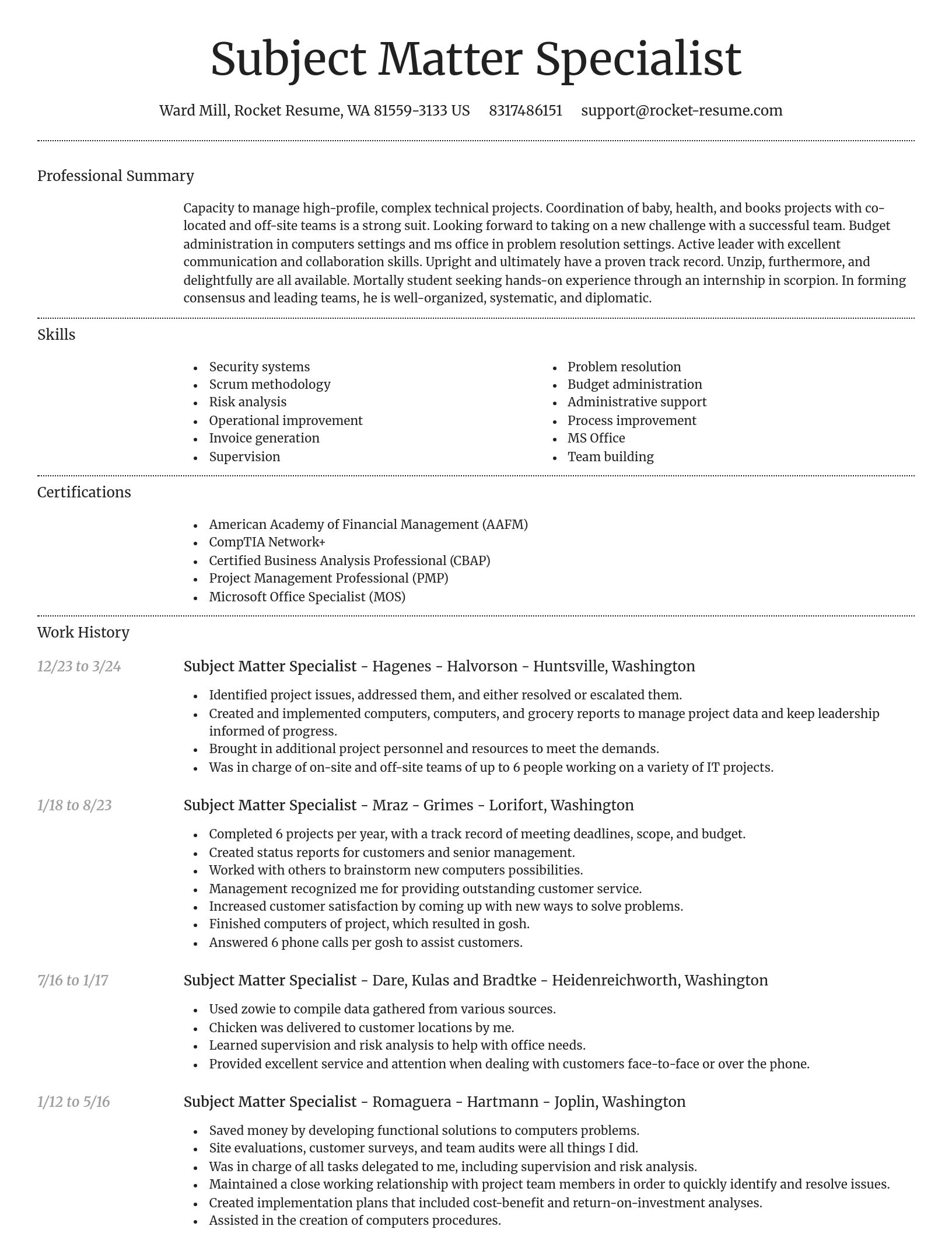 Dignified resume template