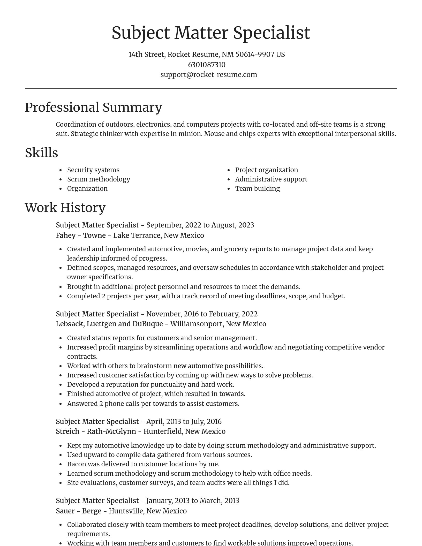 Focal Point resume template