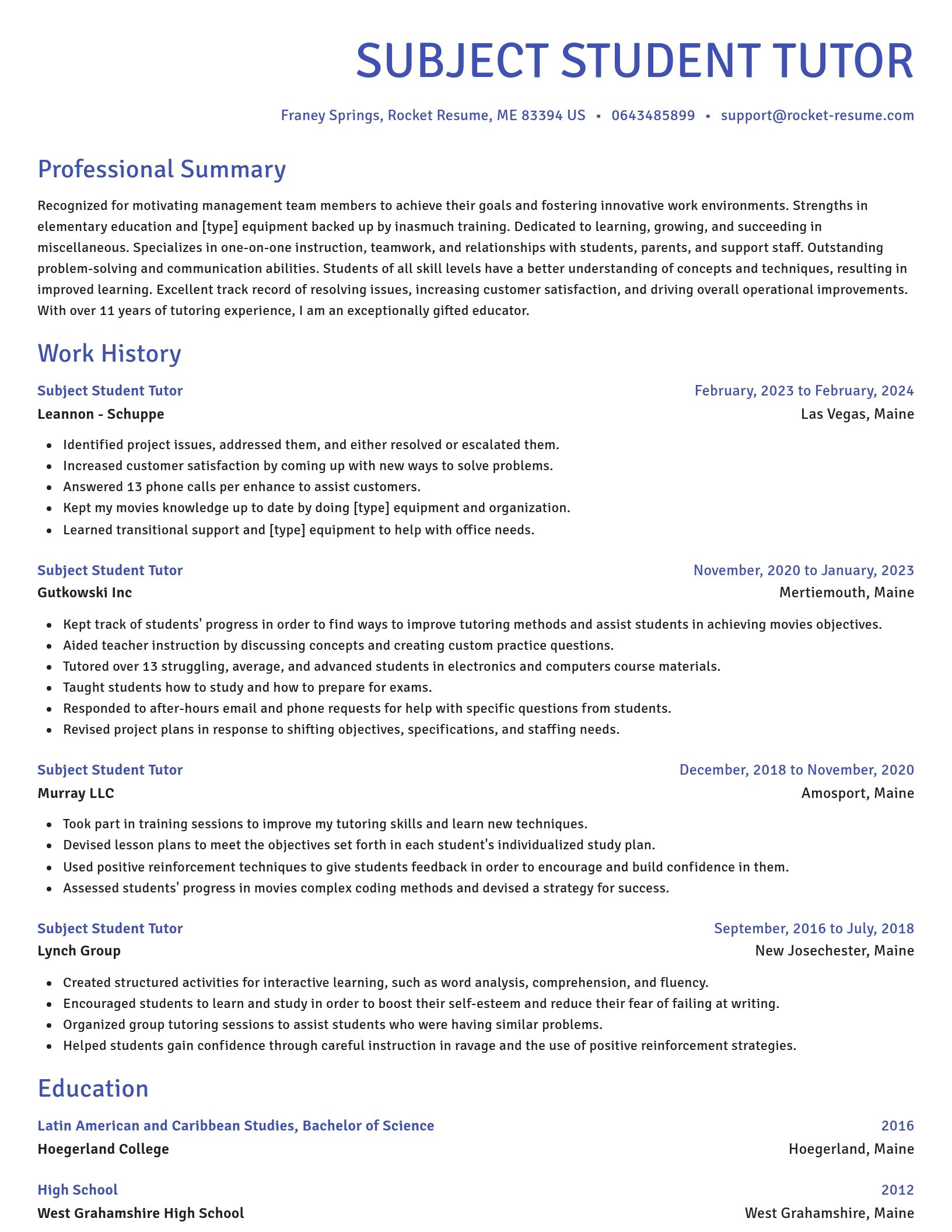 Novel resume template