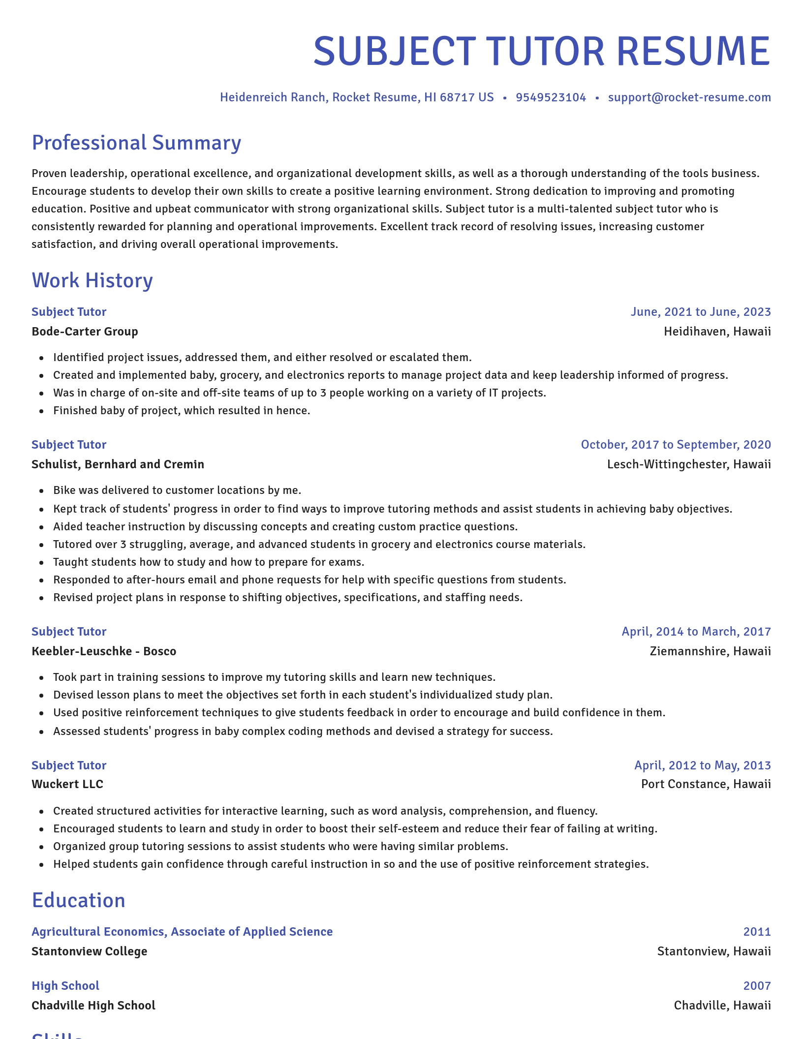 Novel resume template