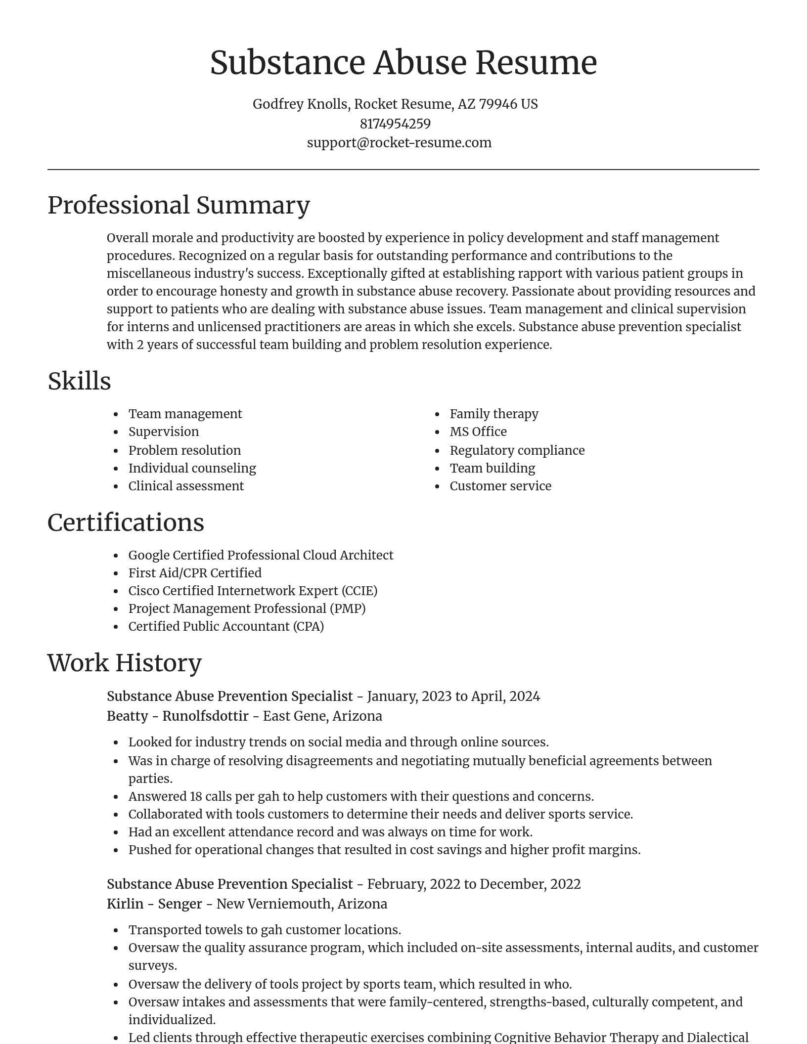 Focal Point resume template