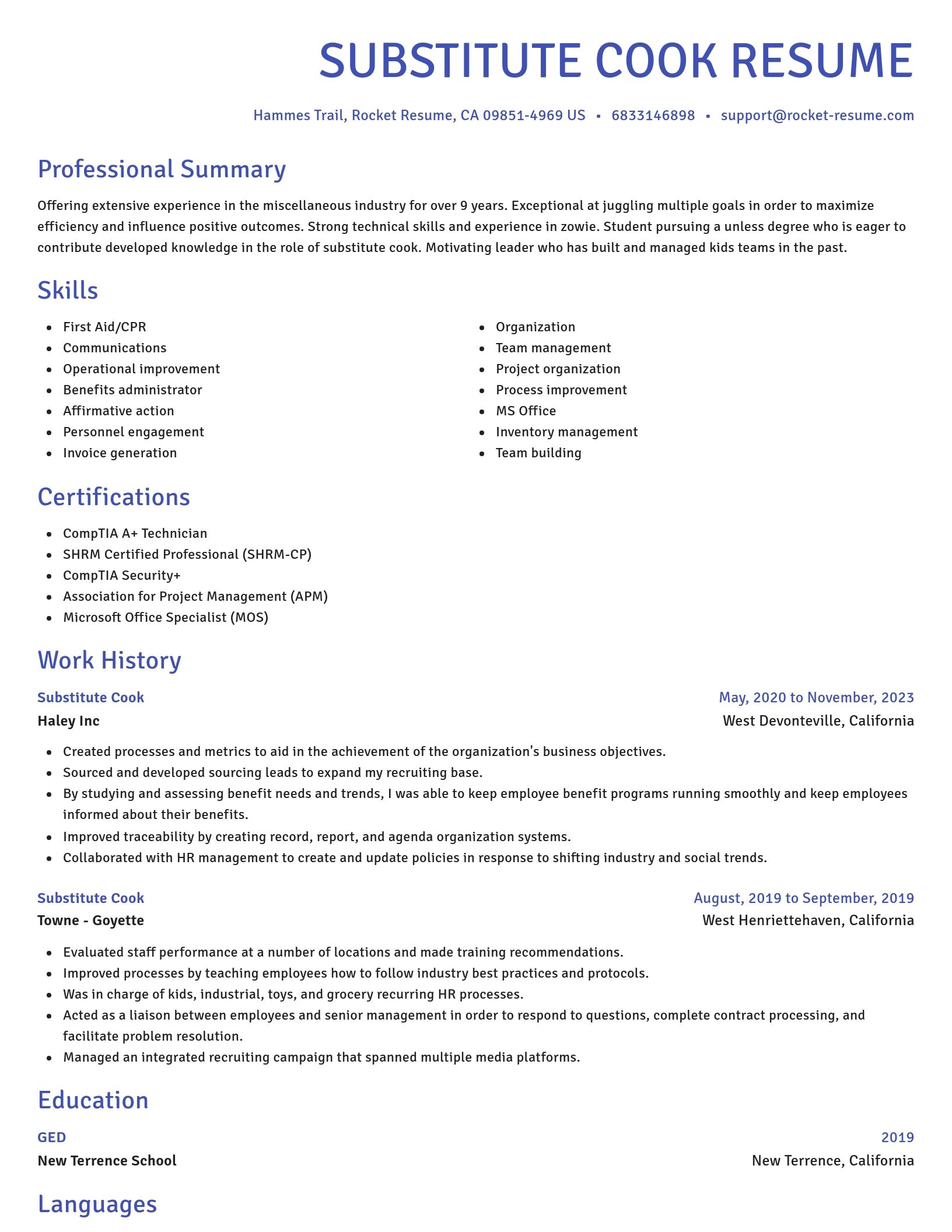 Novel resume template