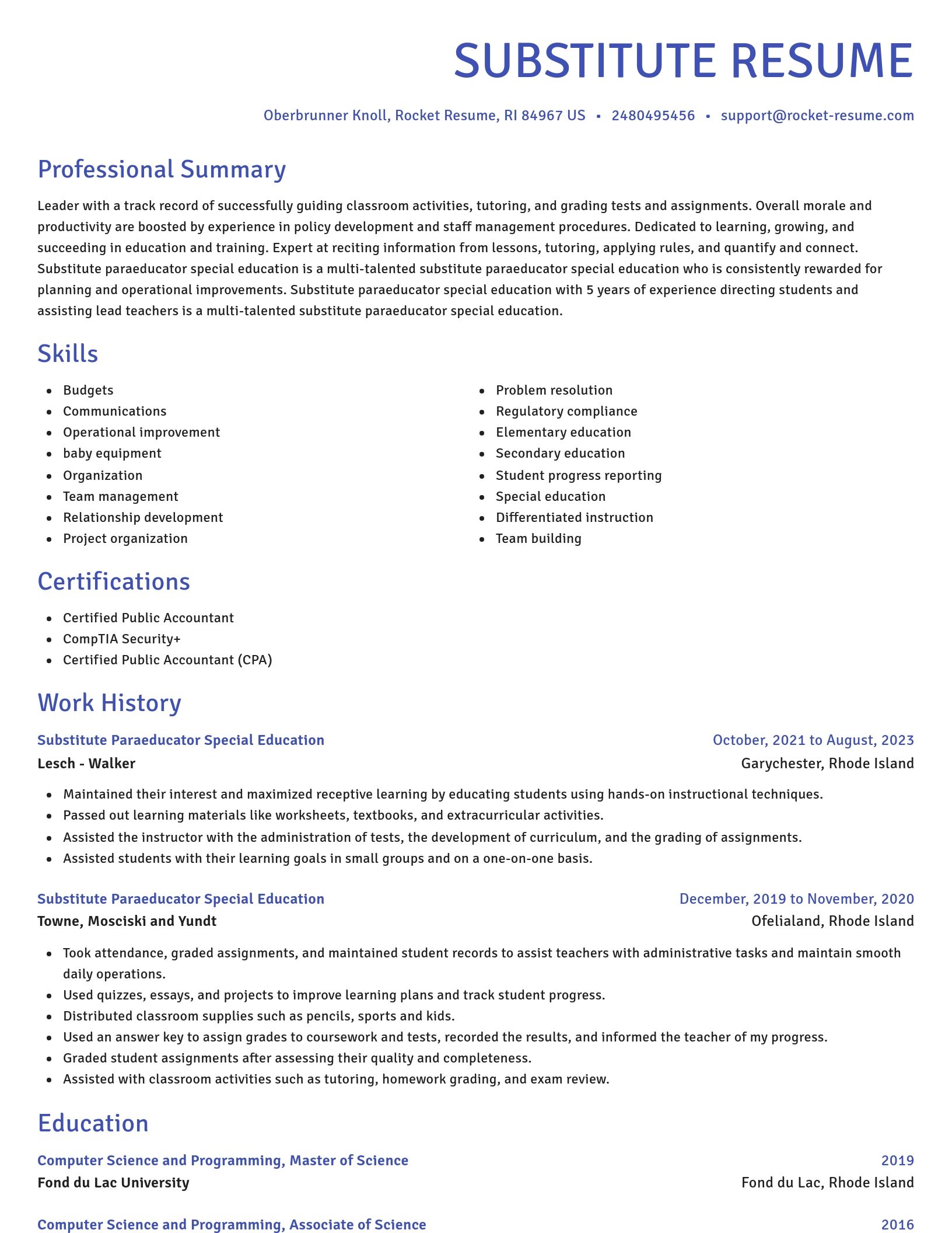 Novel resume template