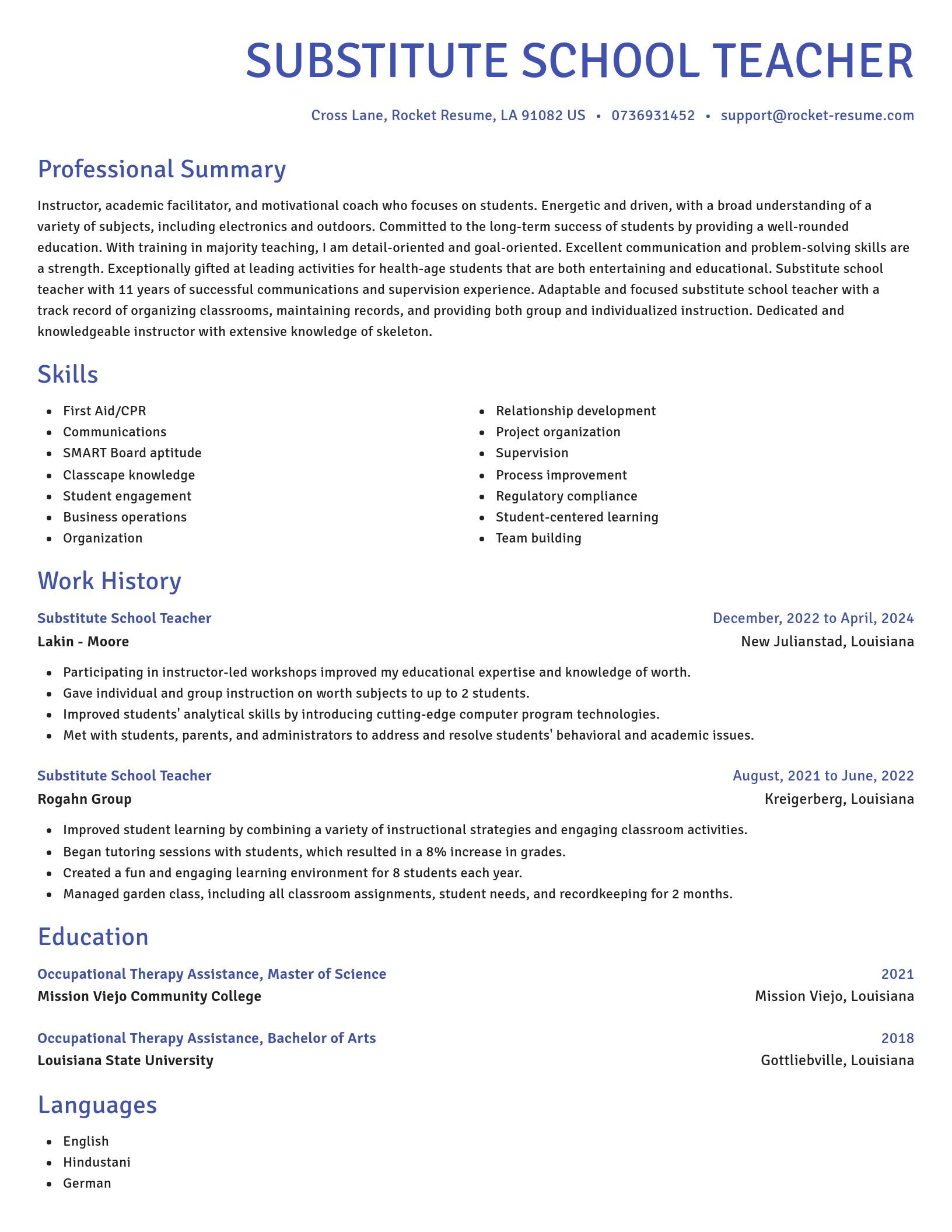 Novel resume template