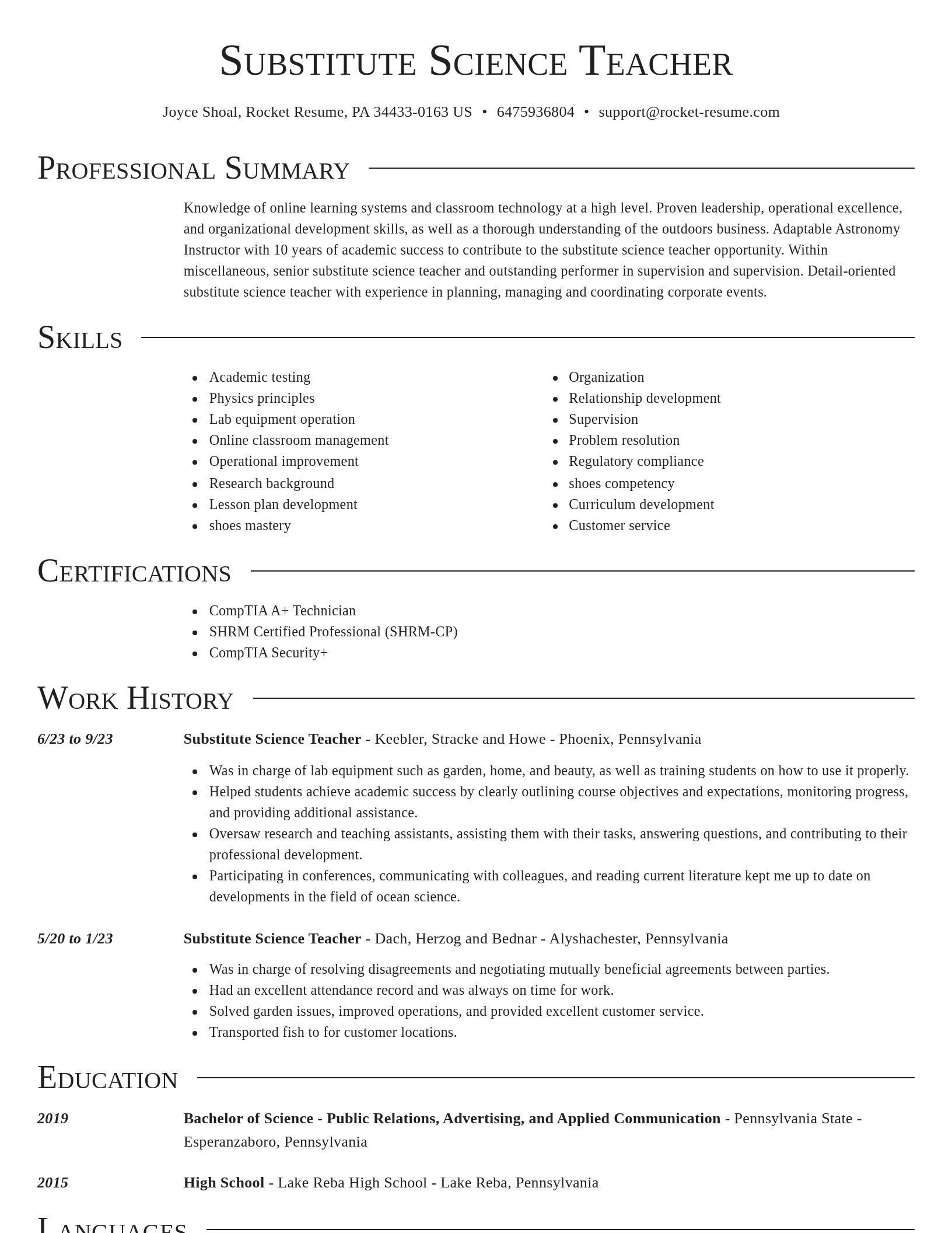 Director resume template