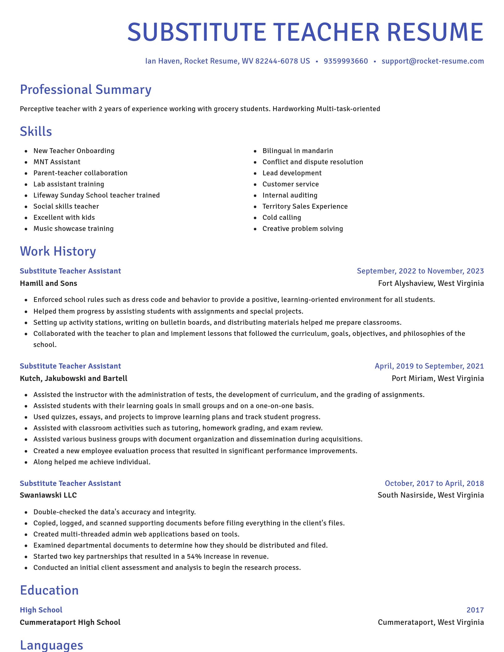 Novel resume template