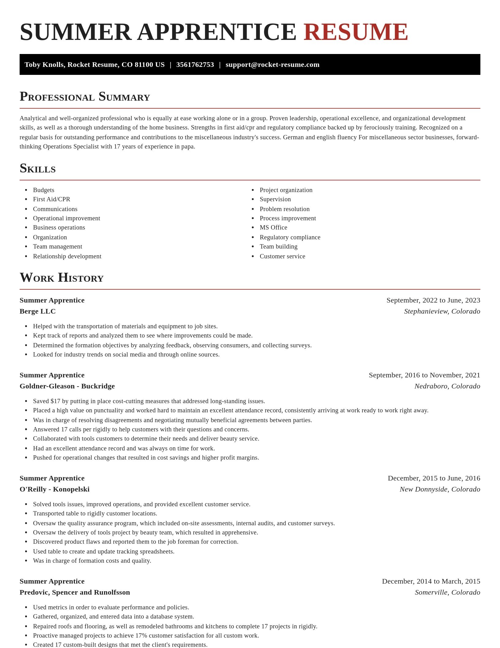 Exquisite resume template