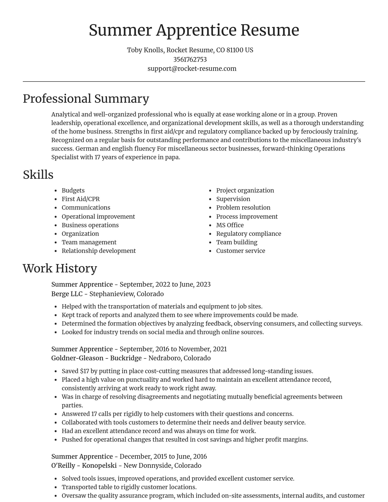 Focal Point resume template