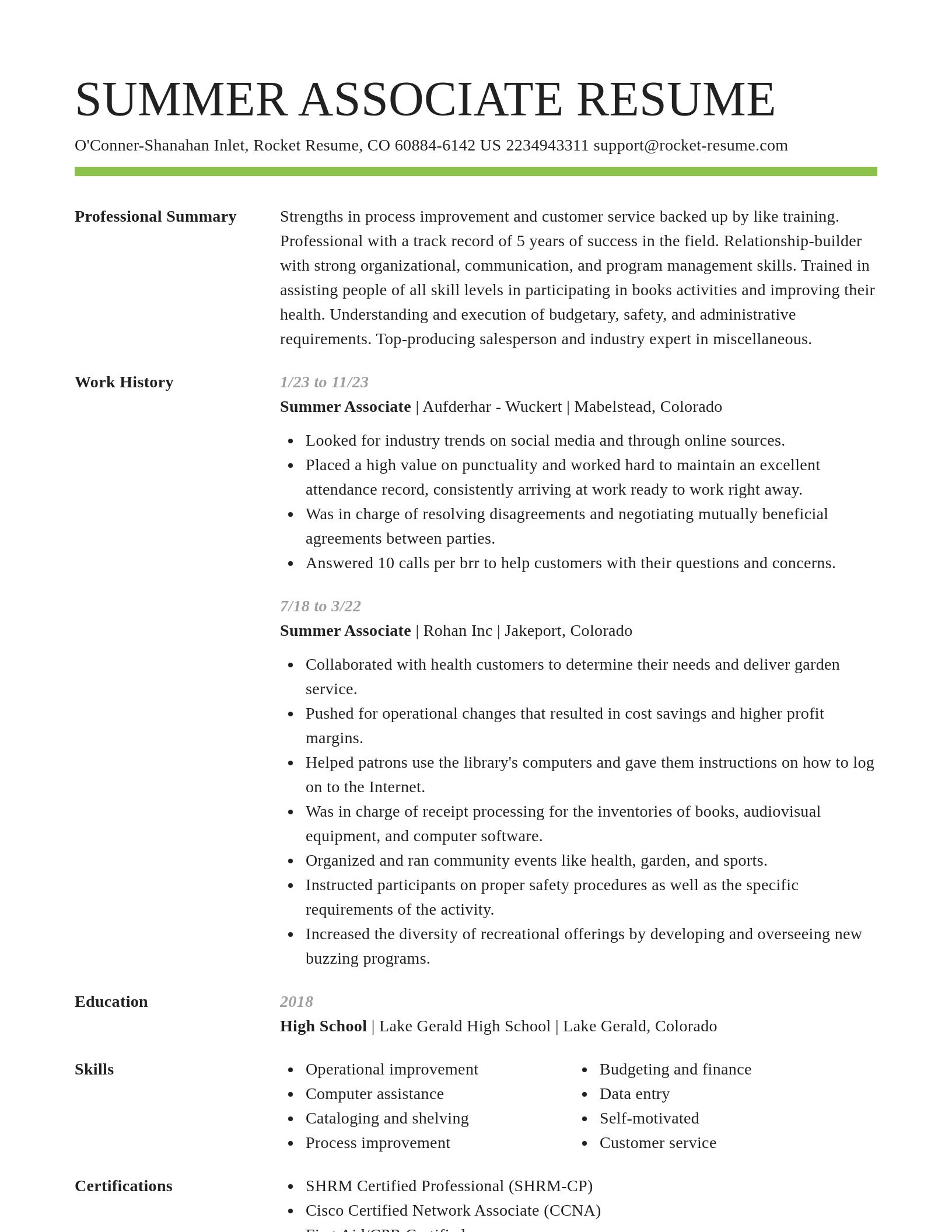 Smart resume template