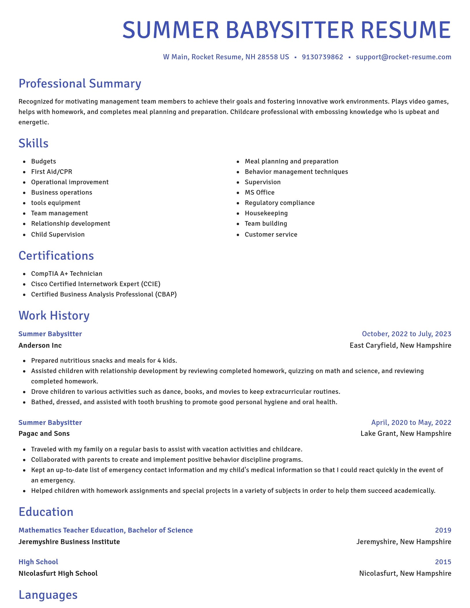Novel resume template