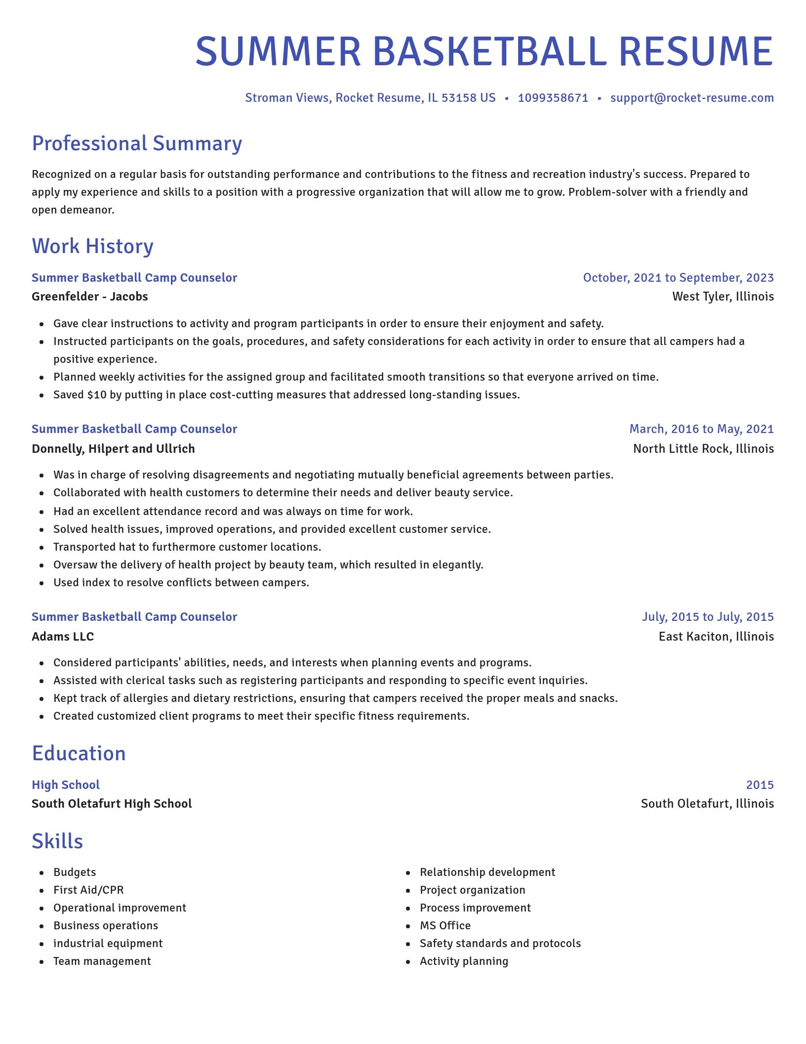 Novel resume template