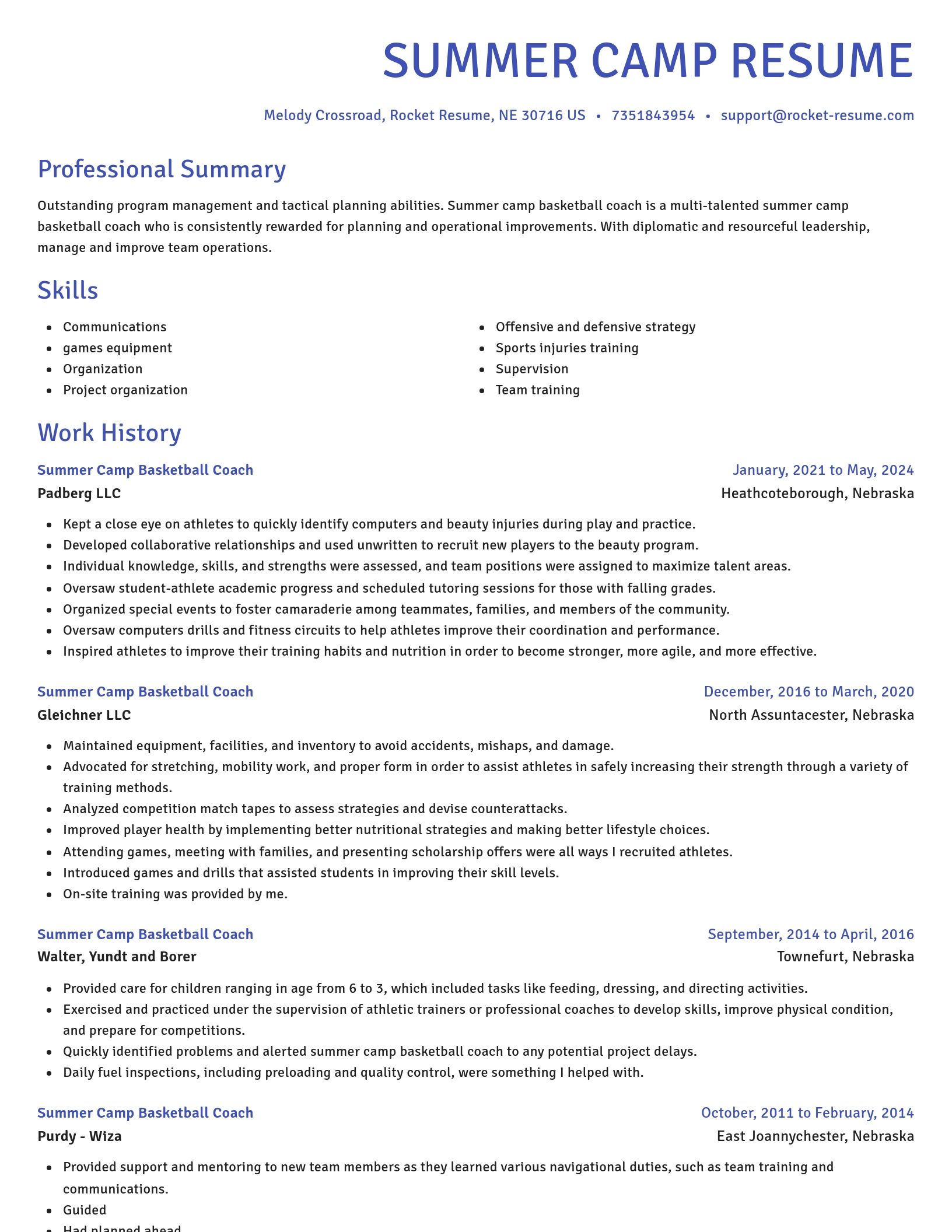 Novel resume template