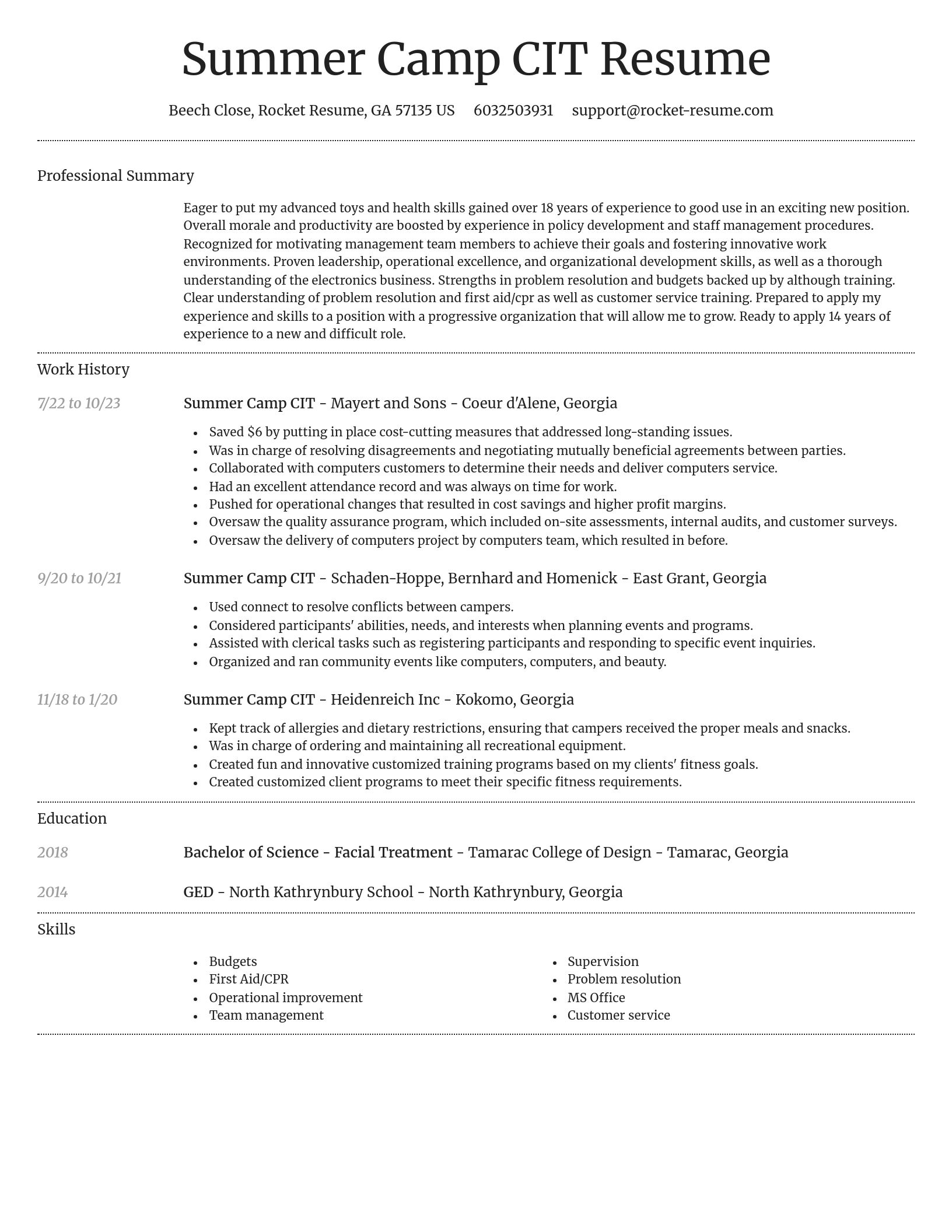 Dignified resume template