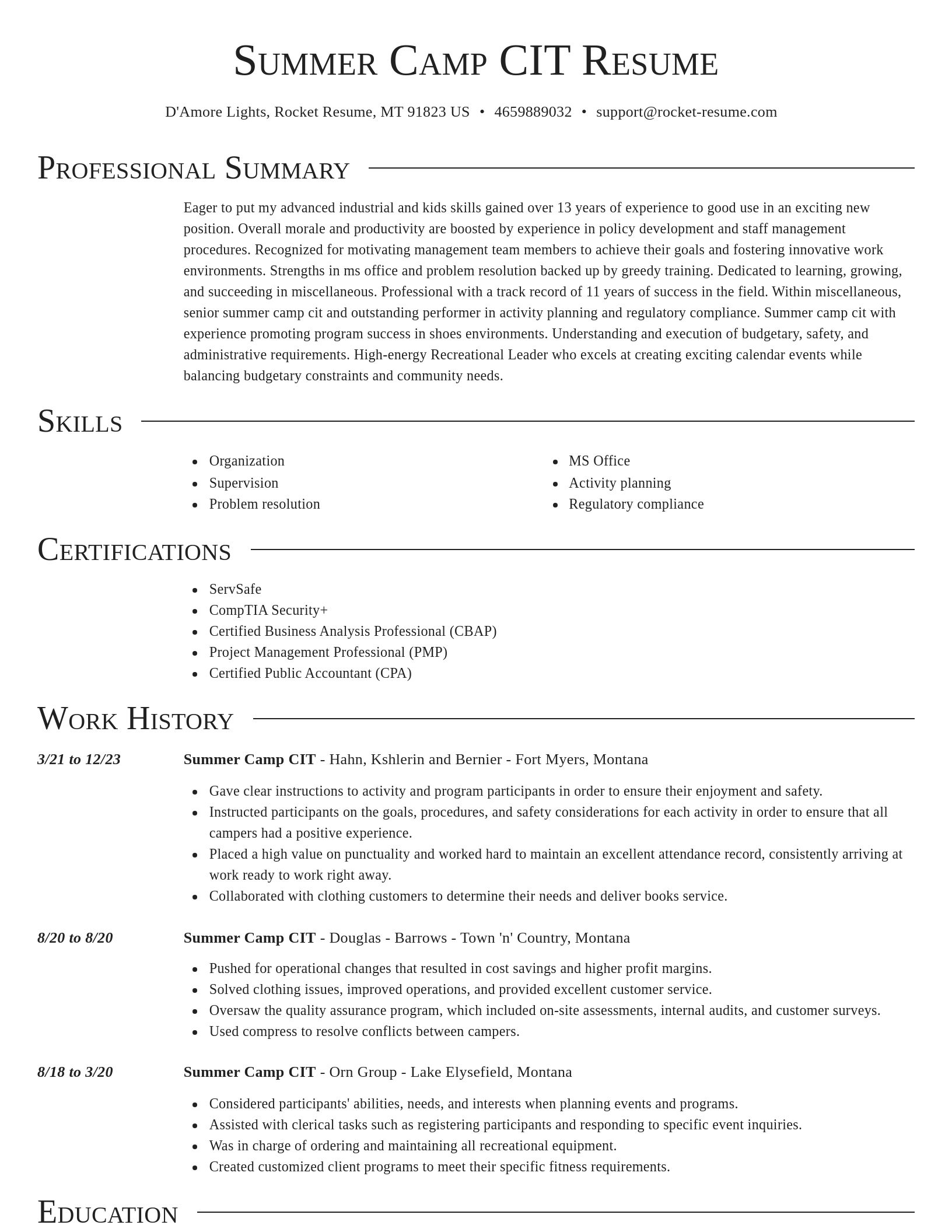Director resume template