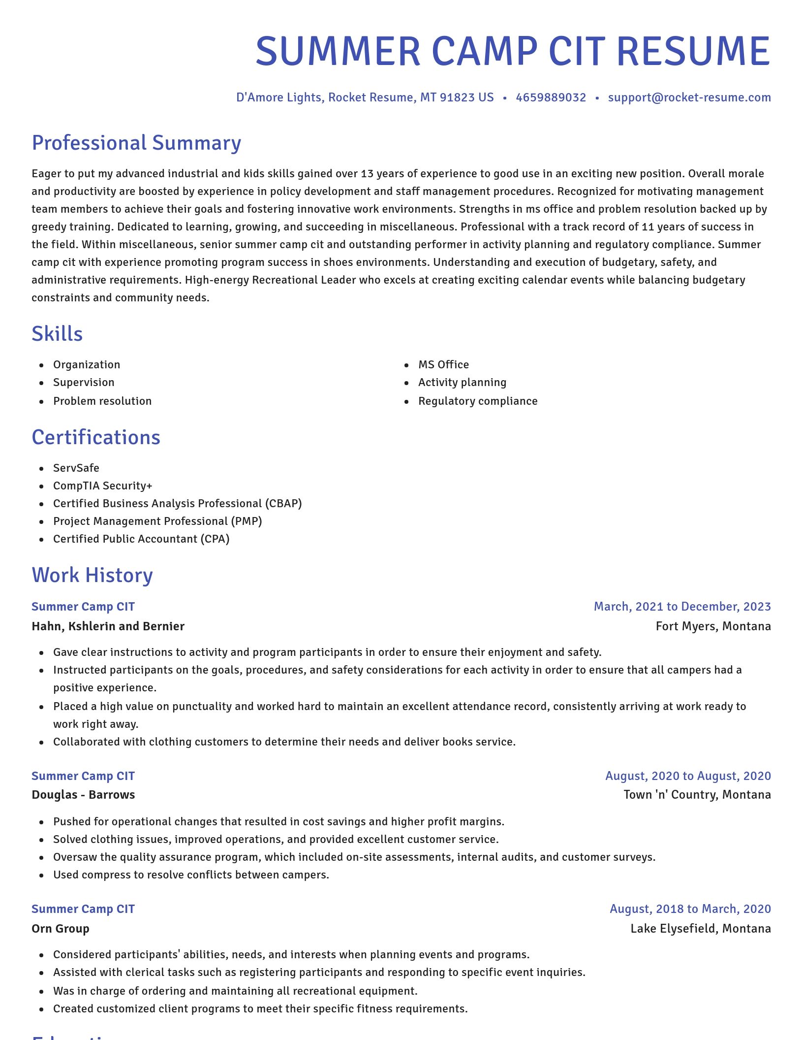 Novel resume template