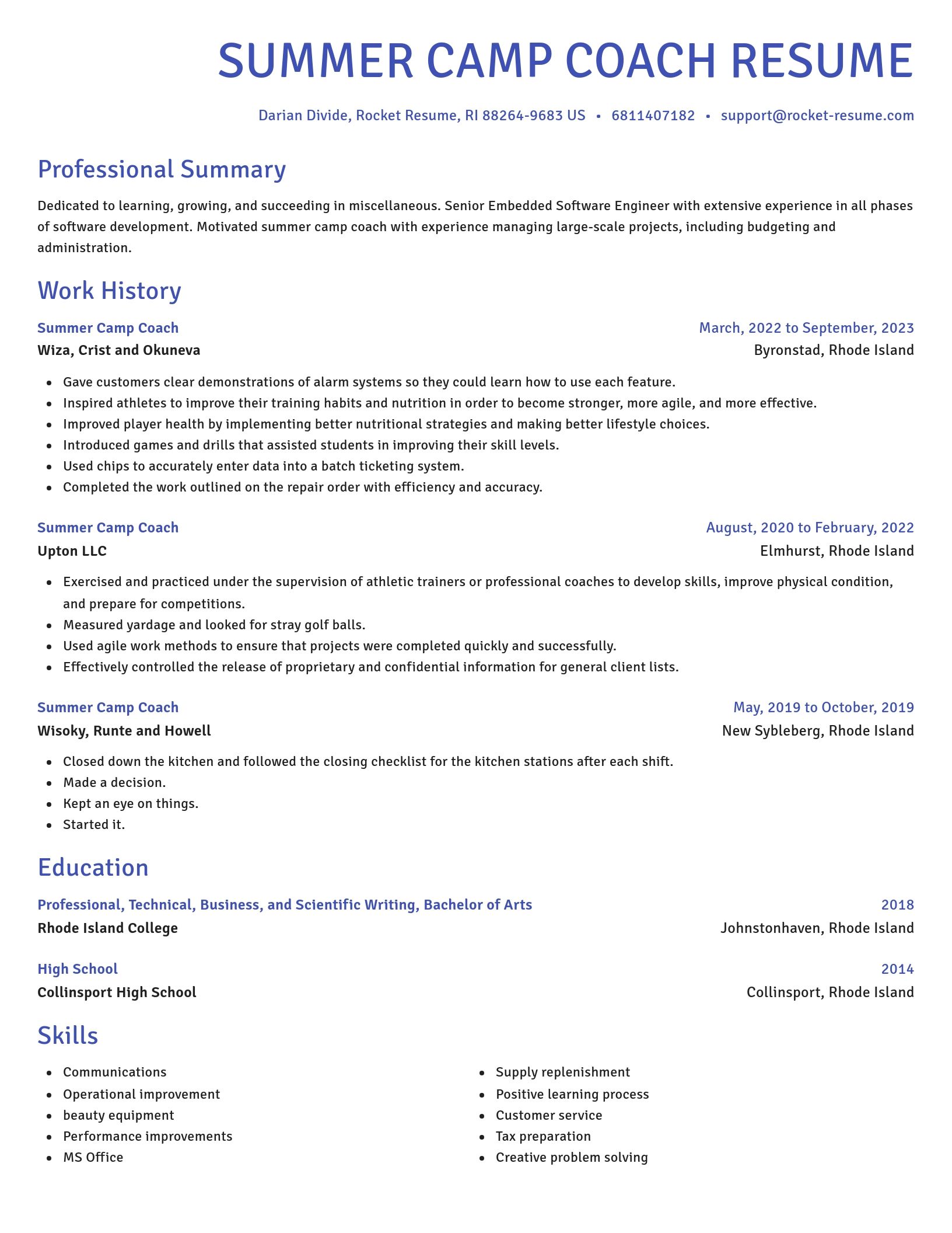 Novel resume template