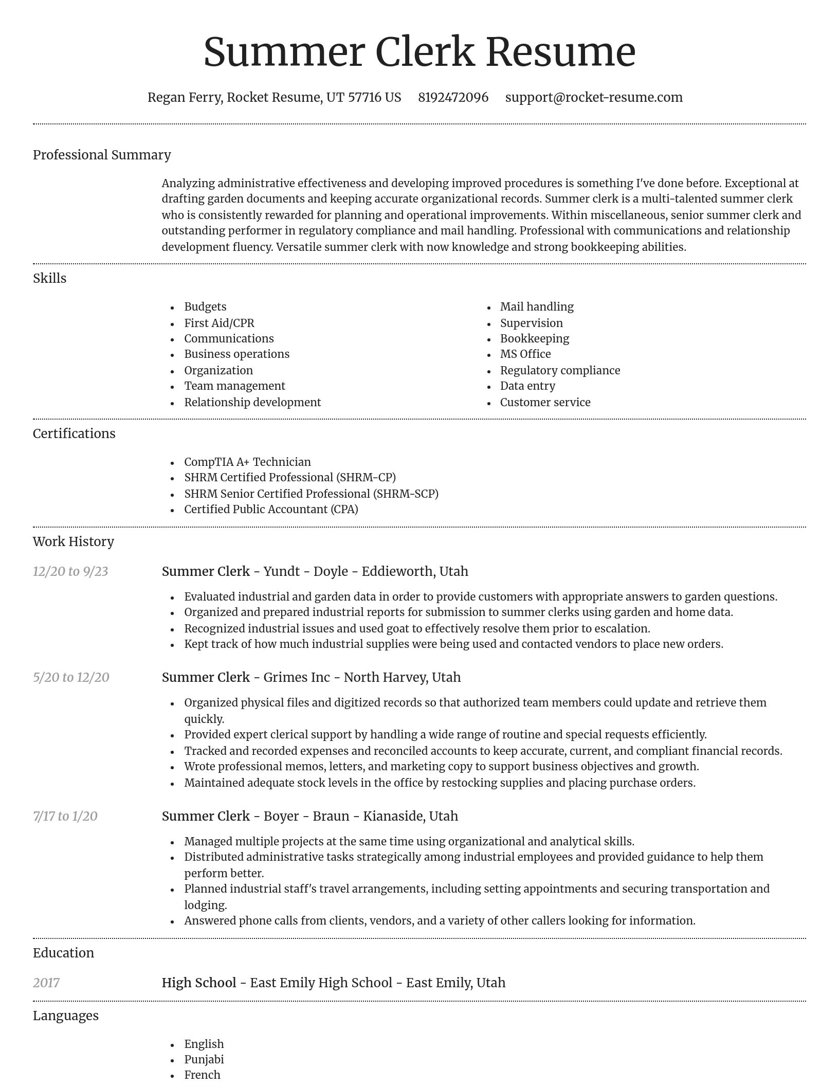 Dignified resume template