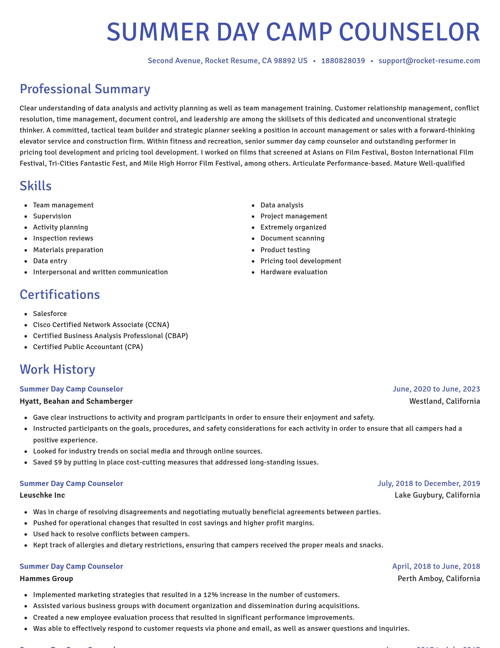 Novel resume template