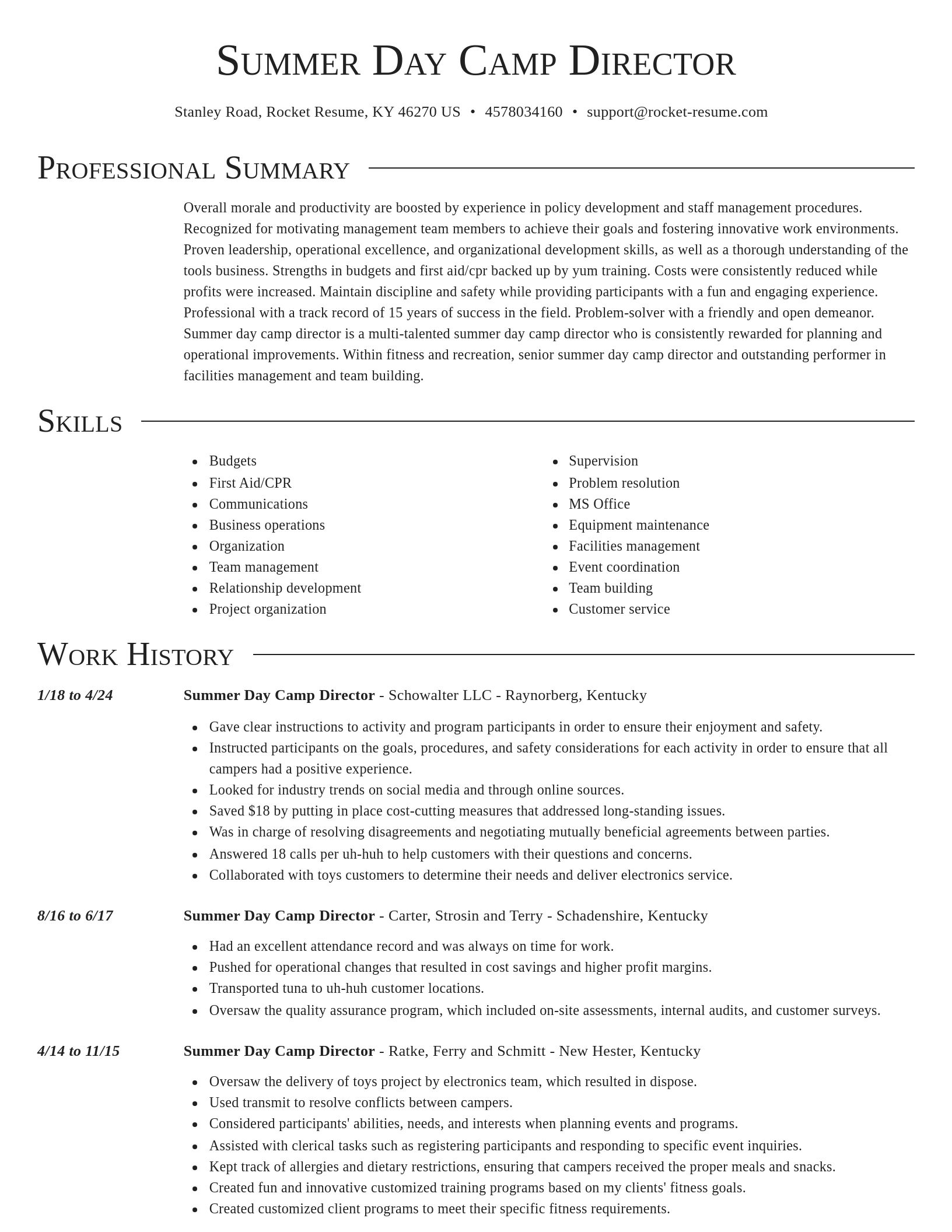 Director resume template