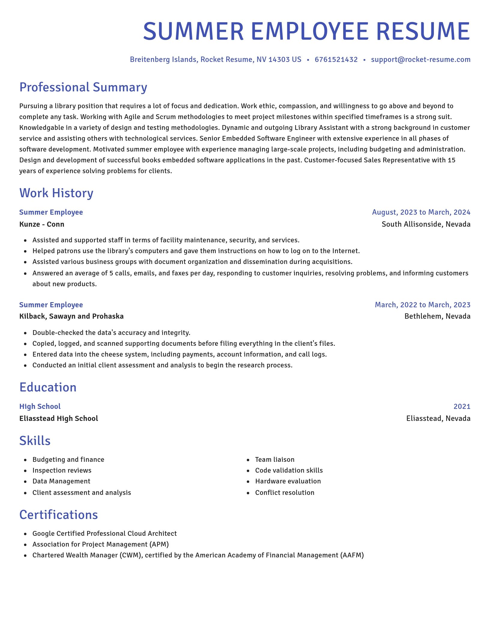 Novel resume template