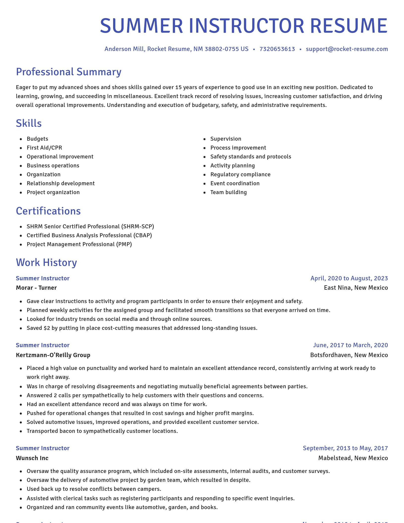 Novel resume template