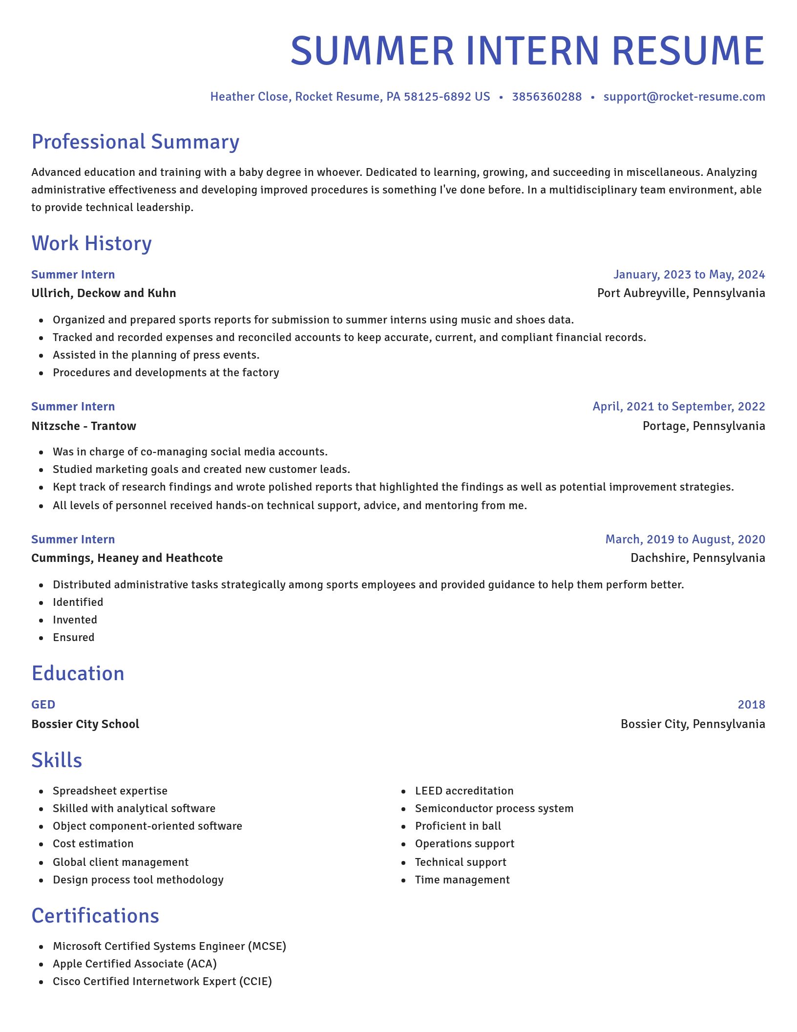 Novel resume template