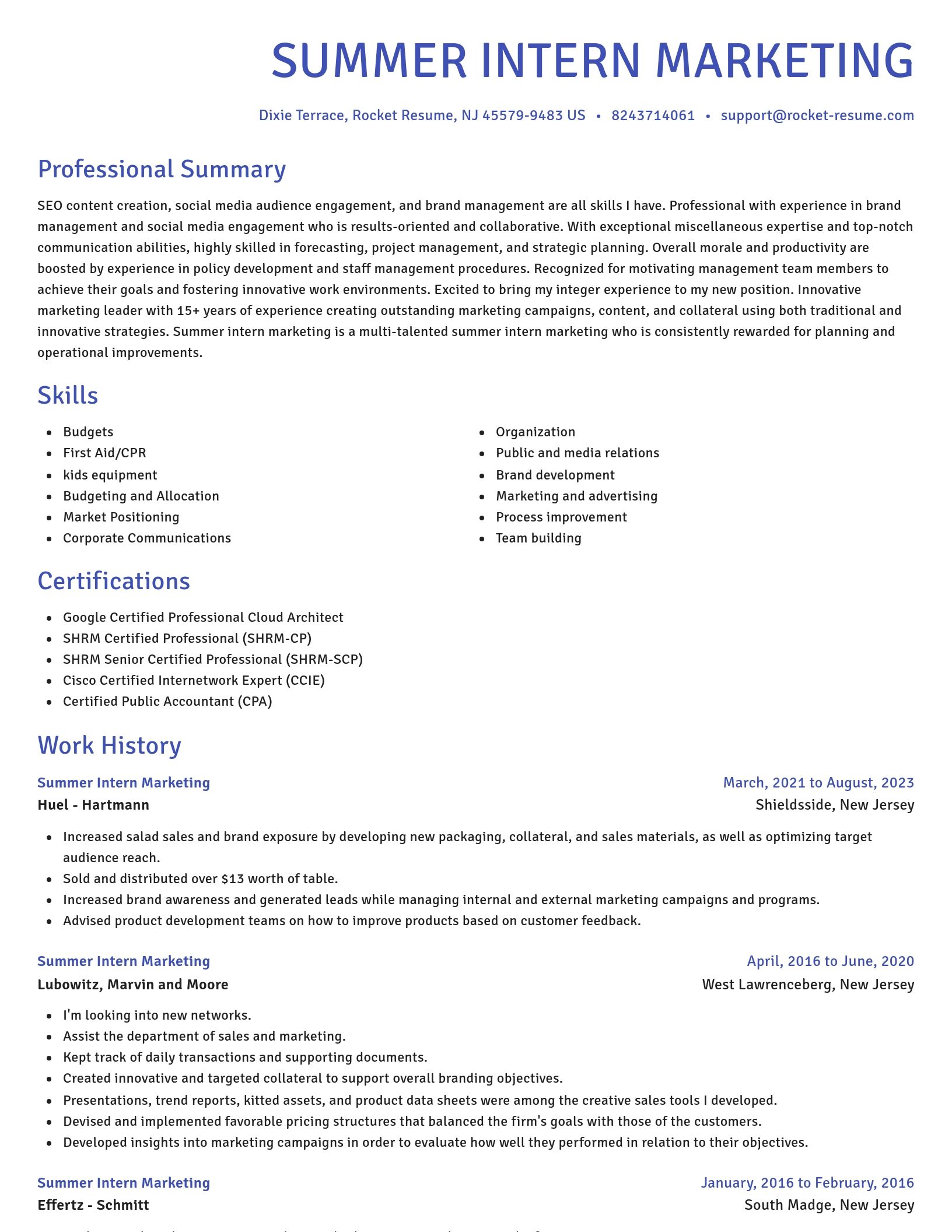 Novel resume template