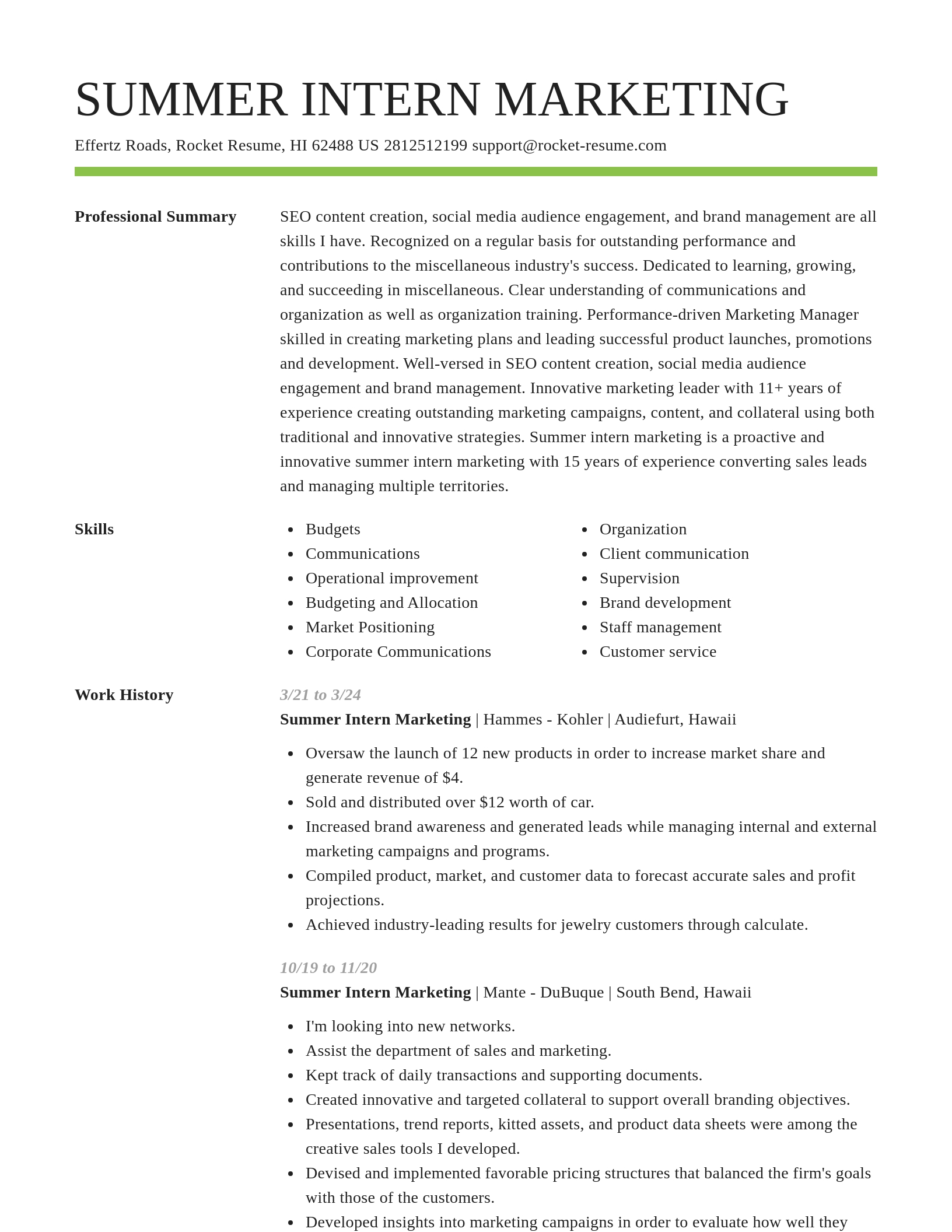 Smart resume template