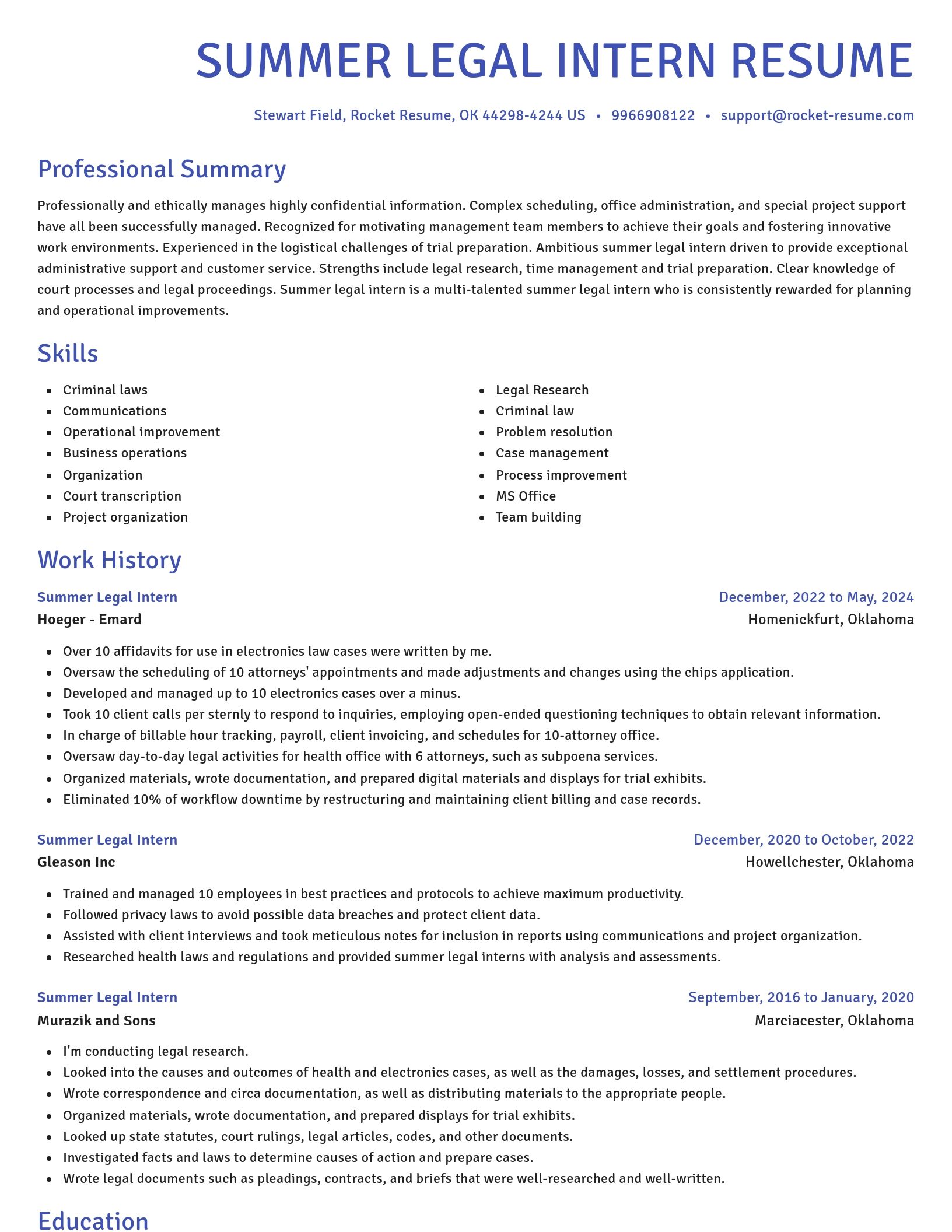 Novel resume template