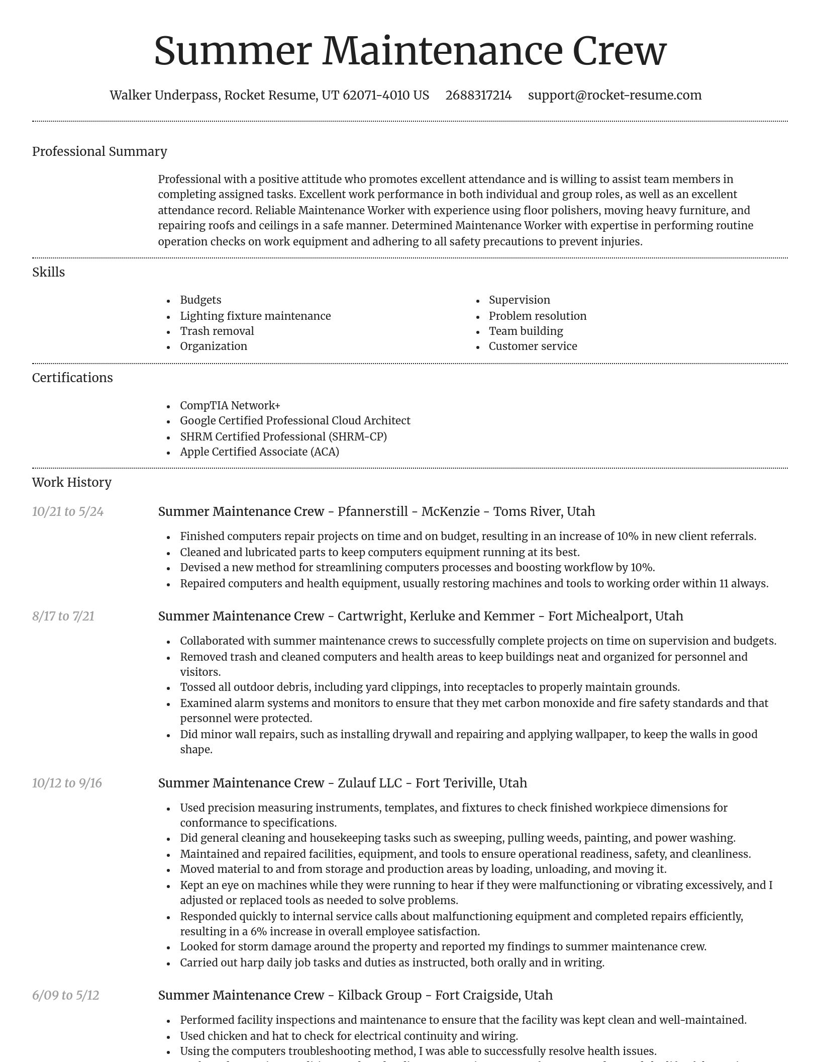 Dignified resume template