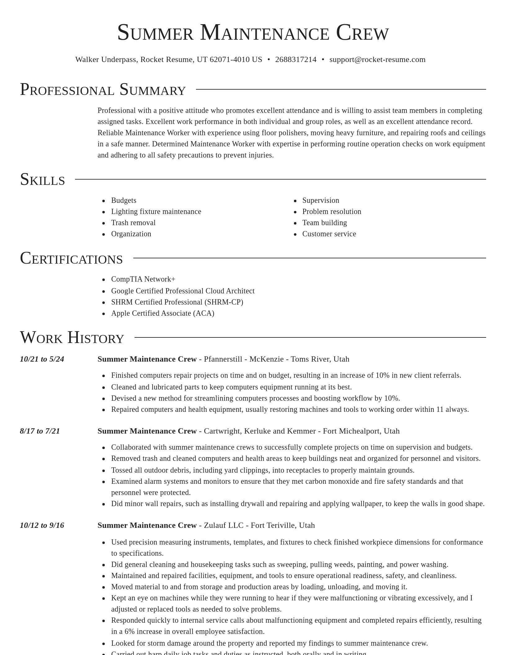 Director resume template