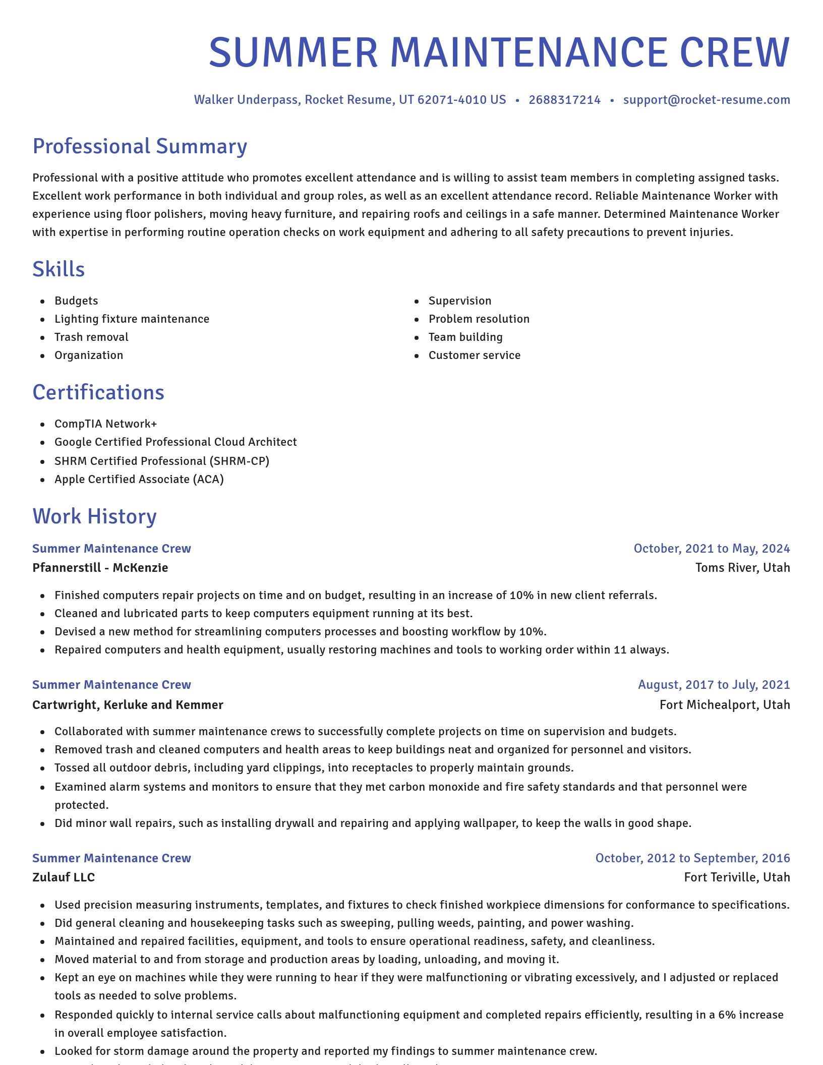 Novel resume template