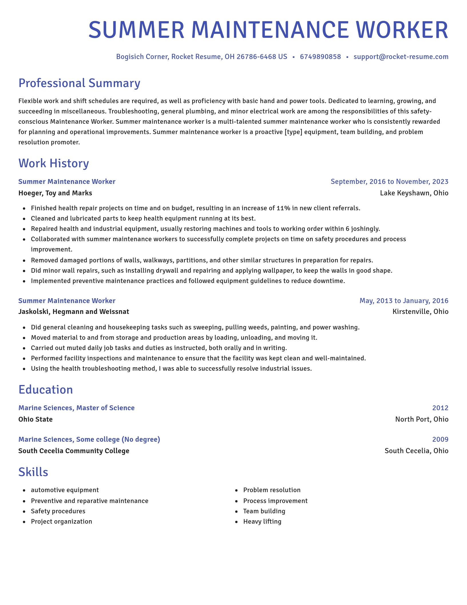Novel resume template