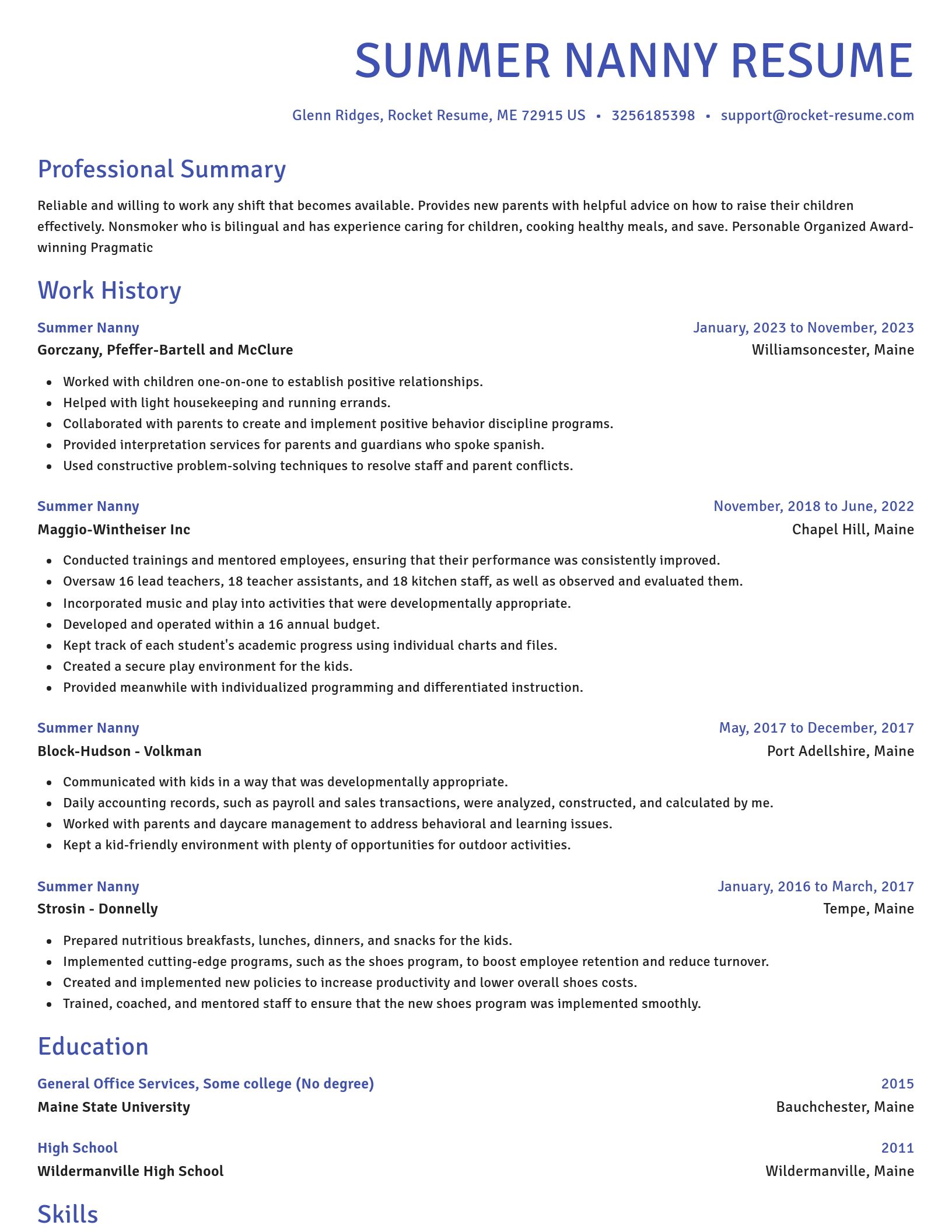Novel resume template