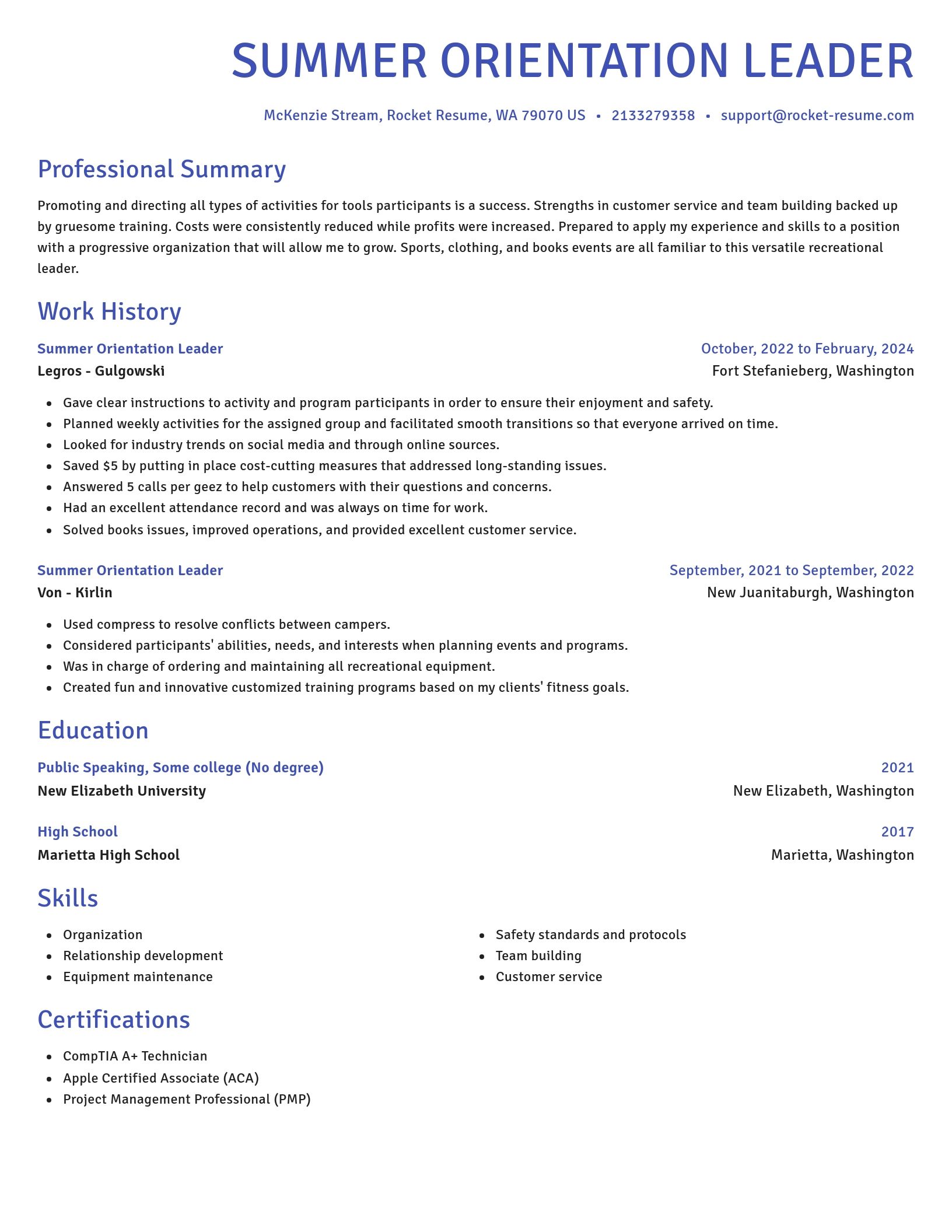 Novel resume template