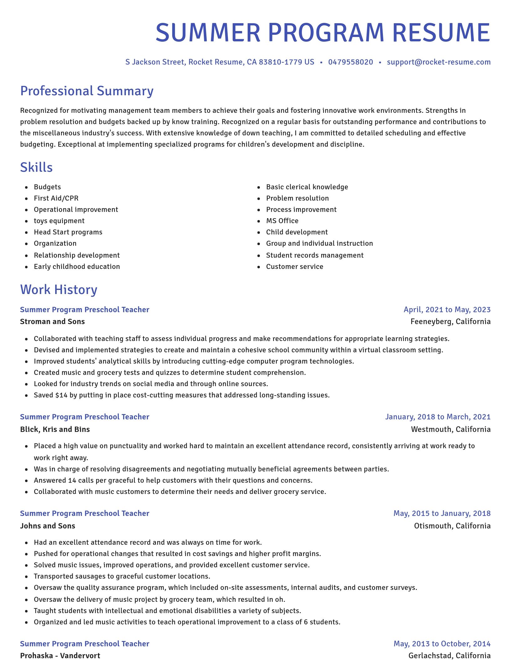 Novel resume template
