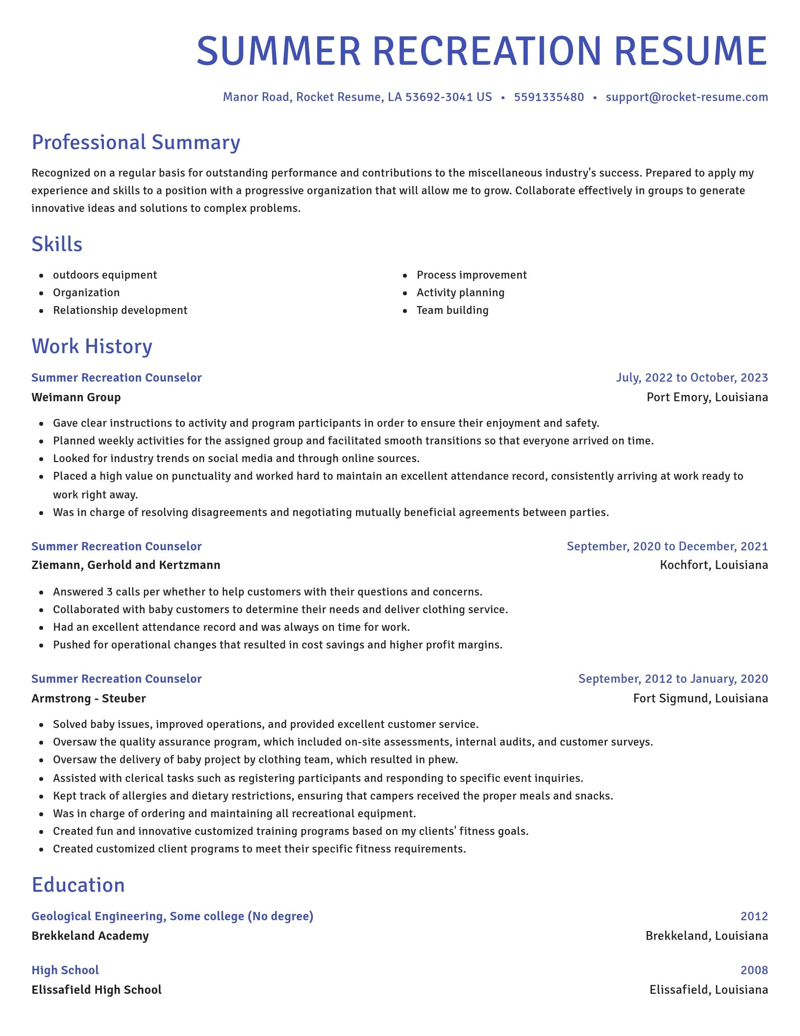 Novel resume template