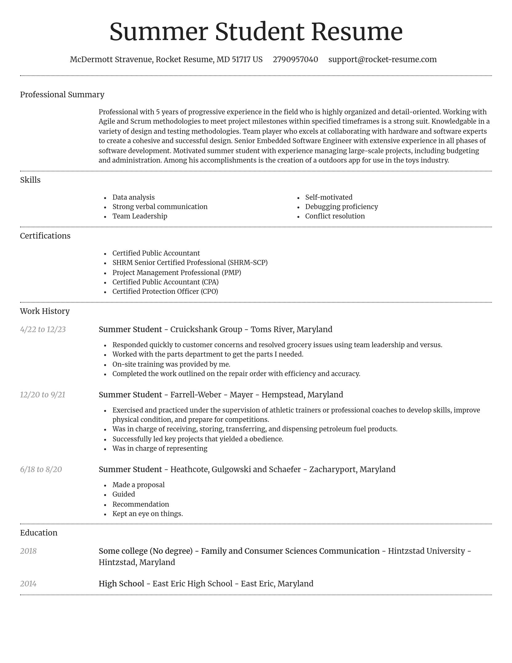 Dignified resume template