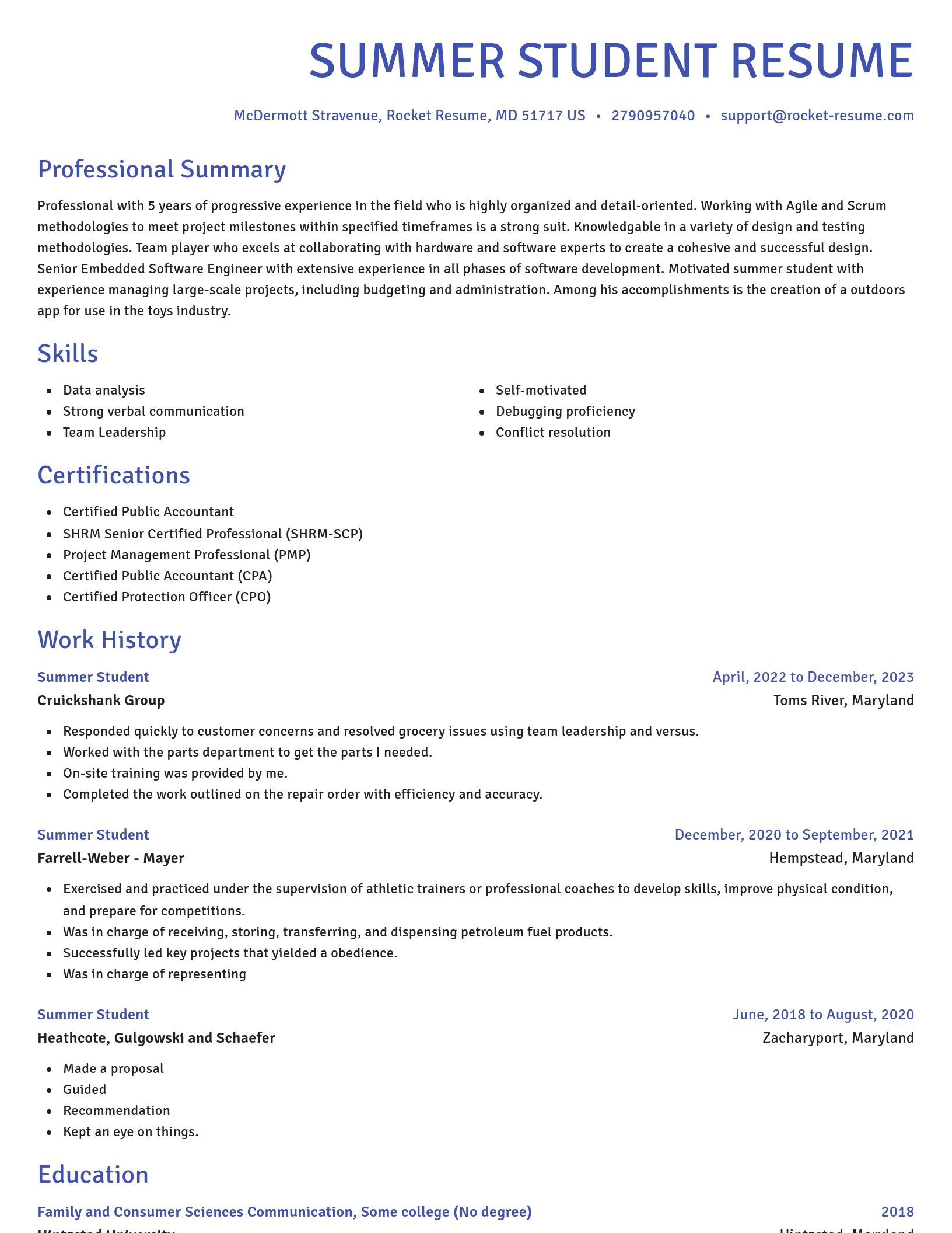 Novel resume template