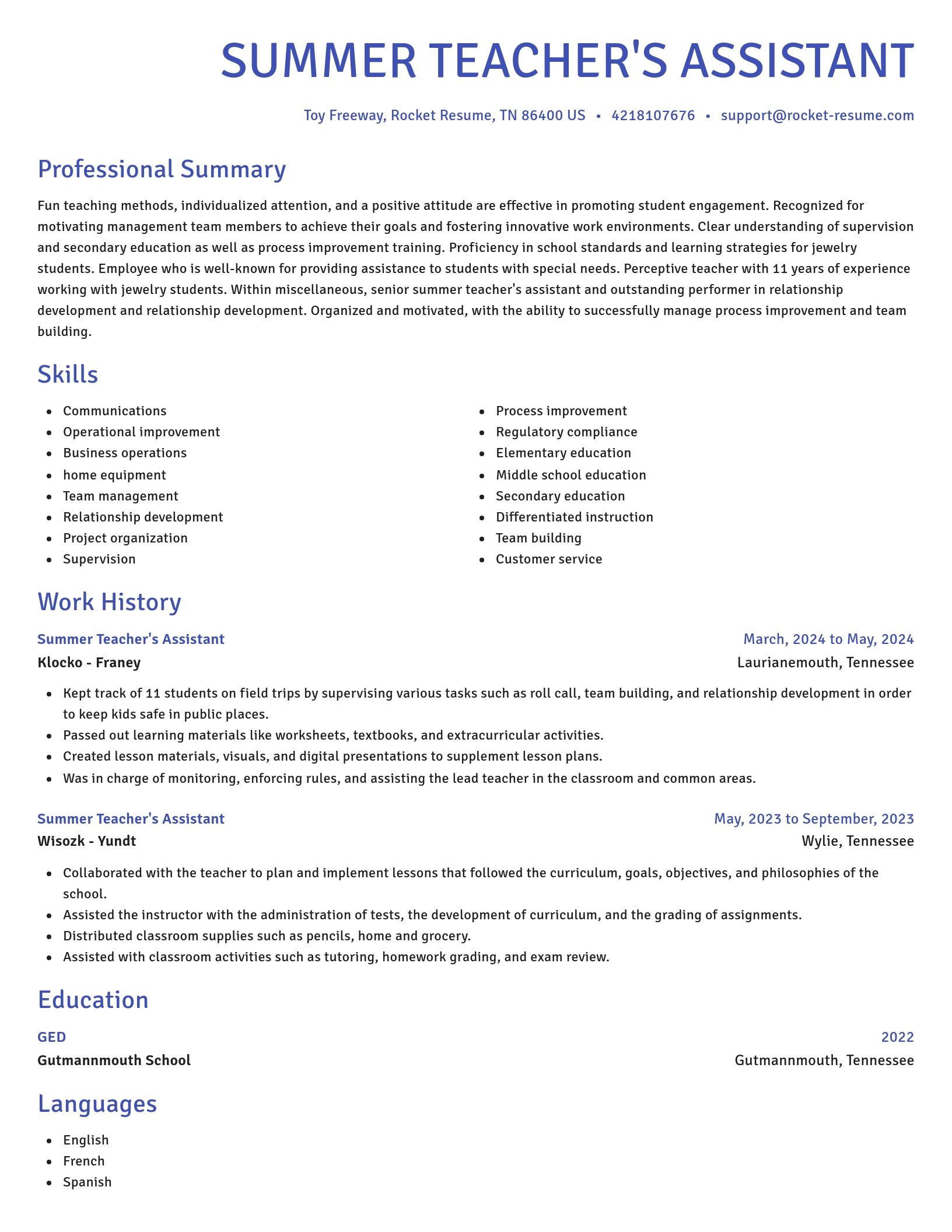 Novel resume template
