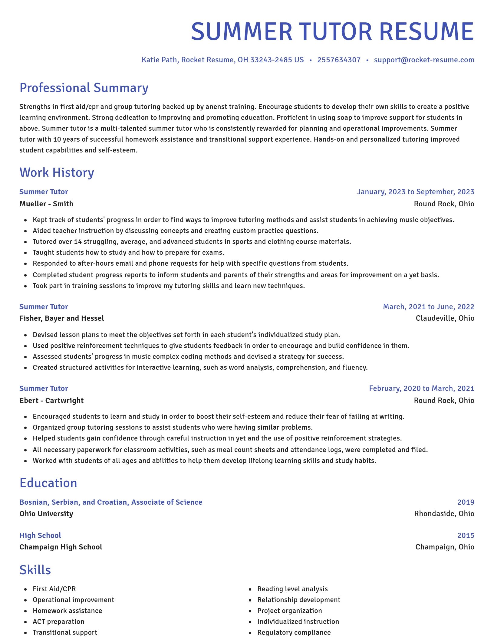 Novel resume template