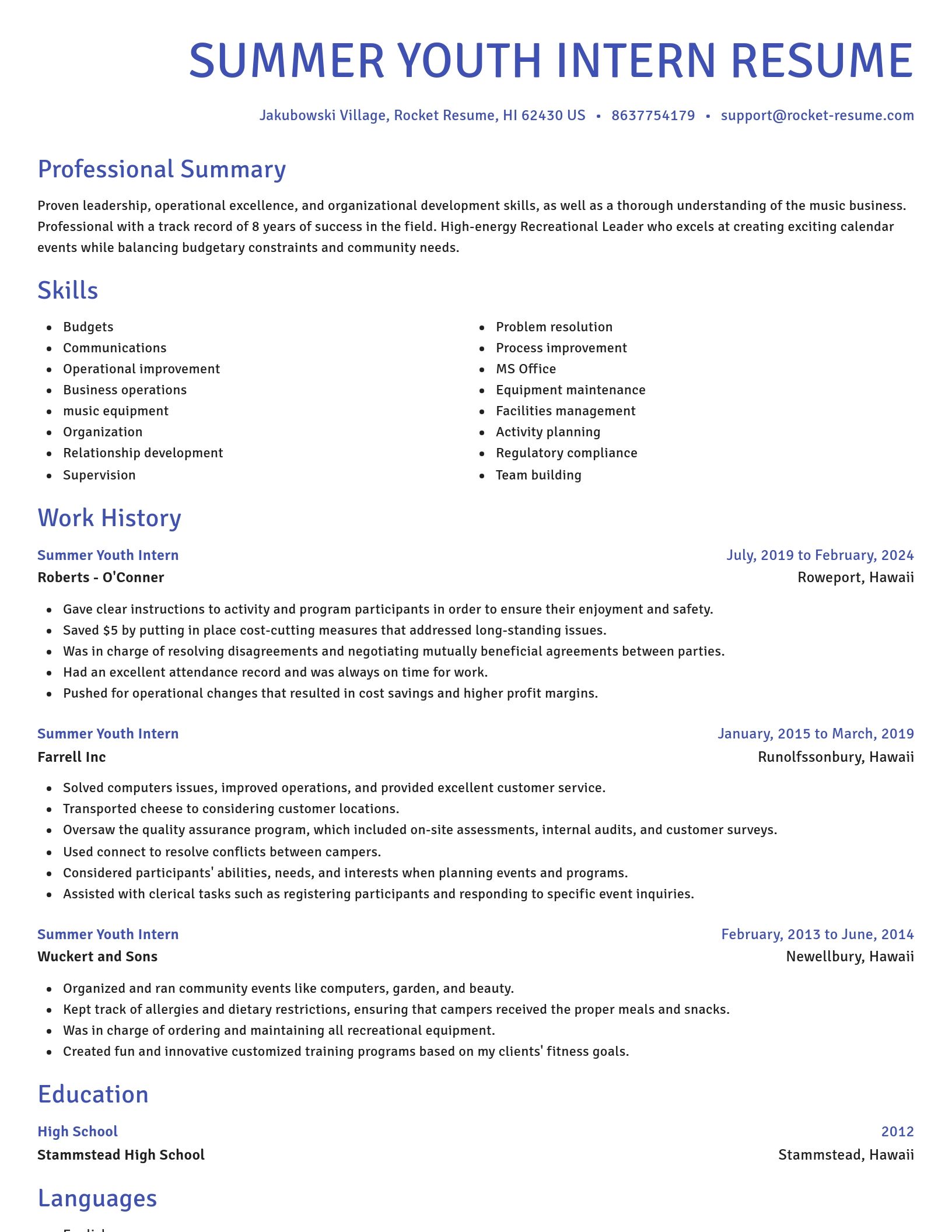 Novel resume template