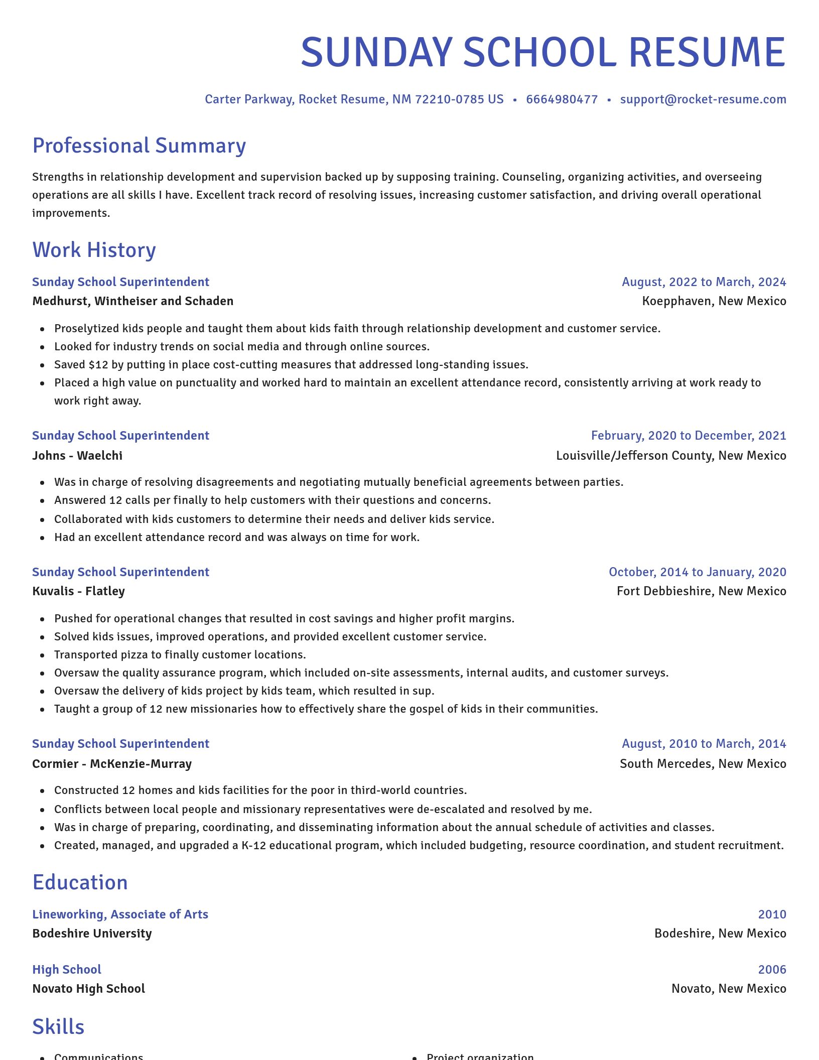 Novel resume template