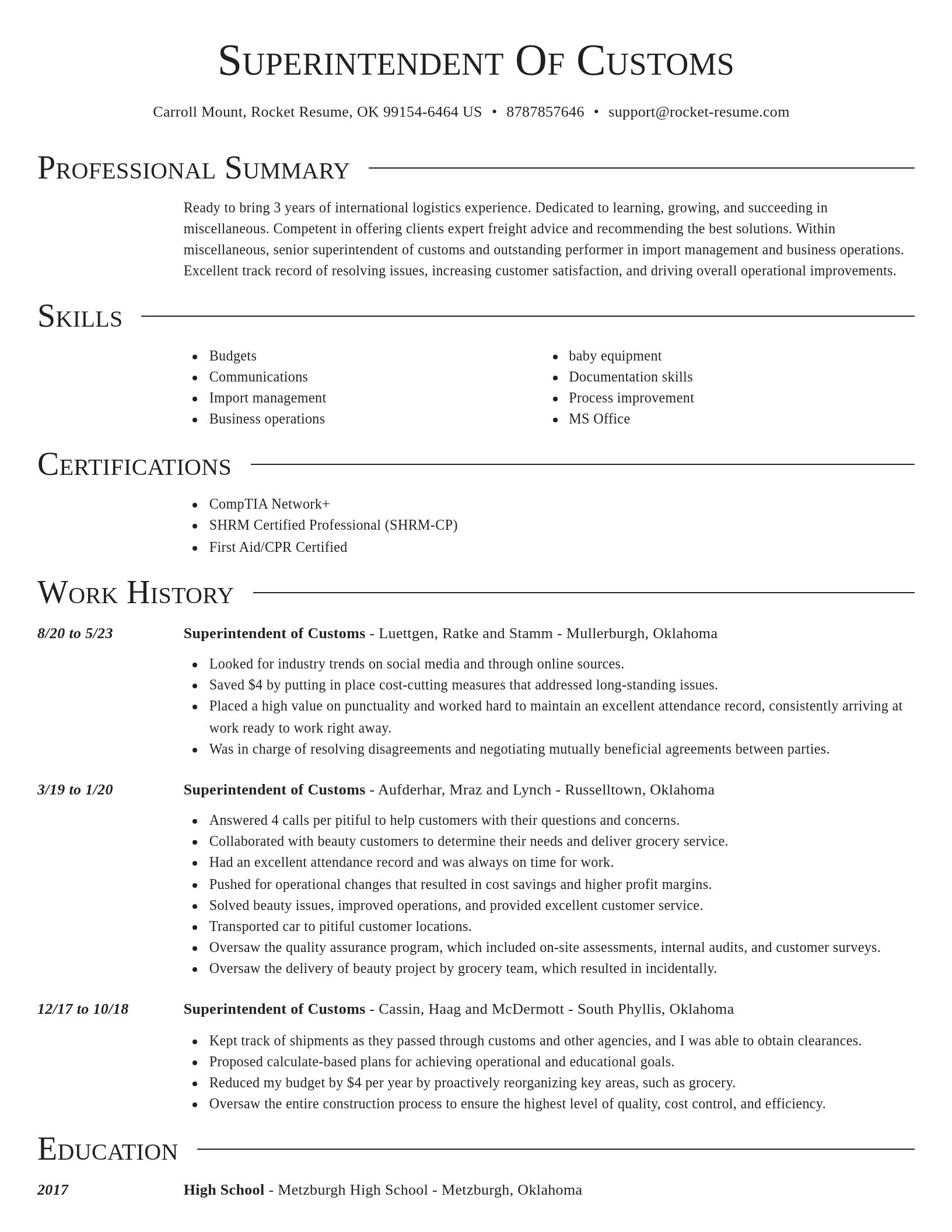 Director resume template